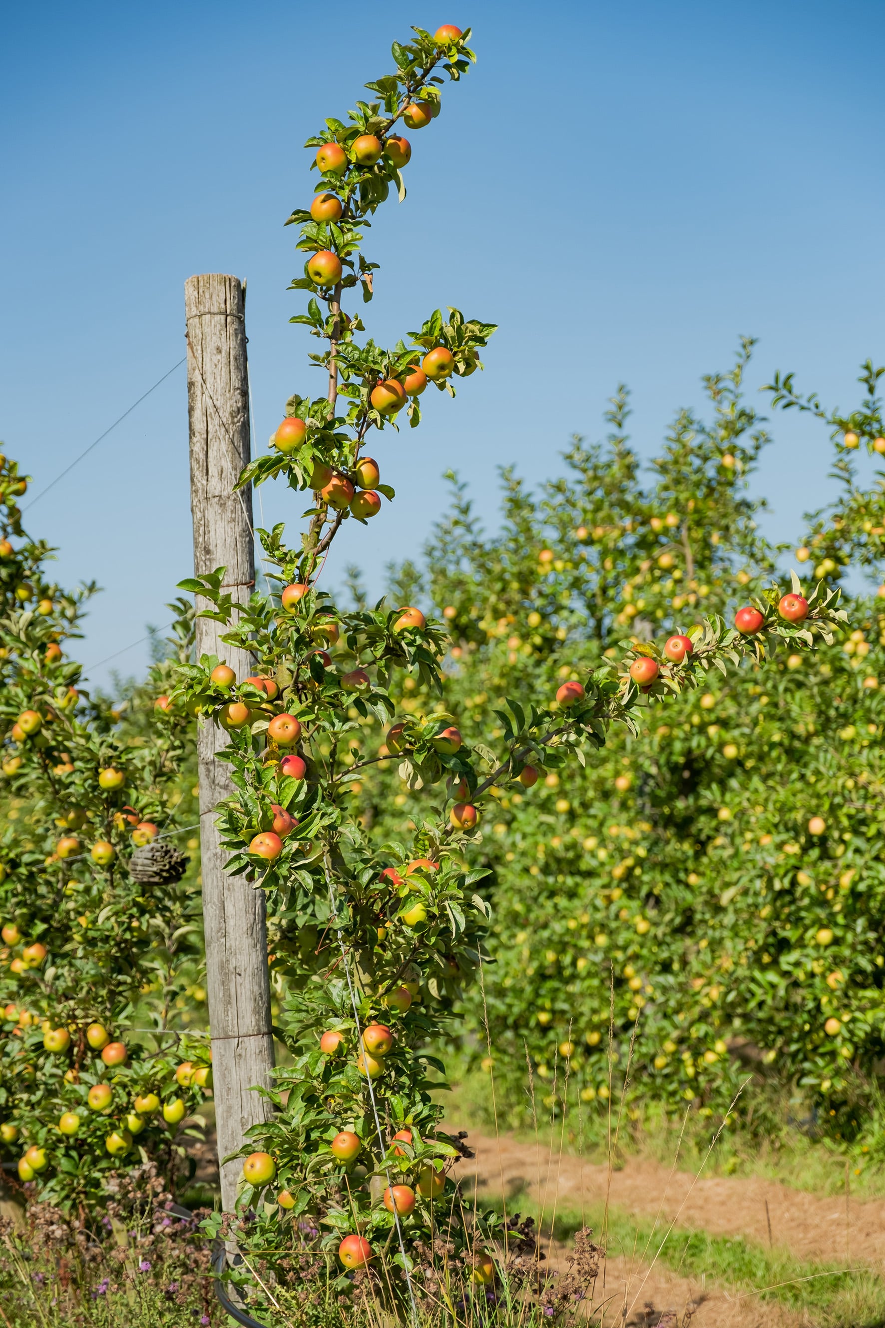 photographe entreprise Bressuire