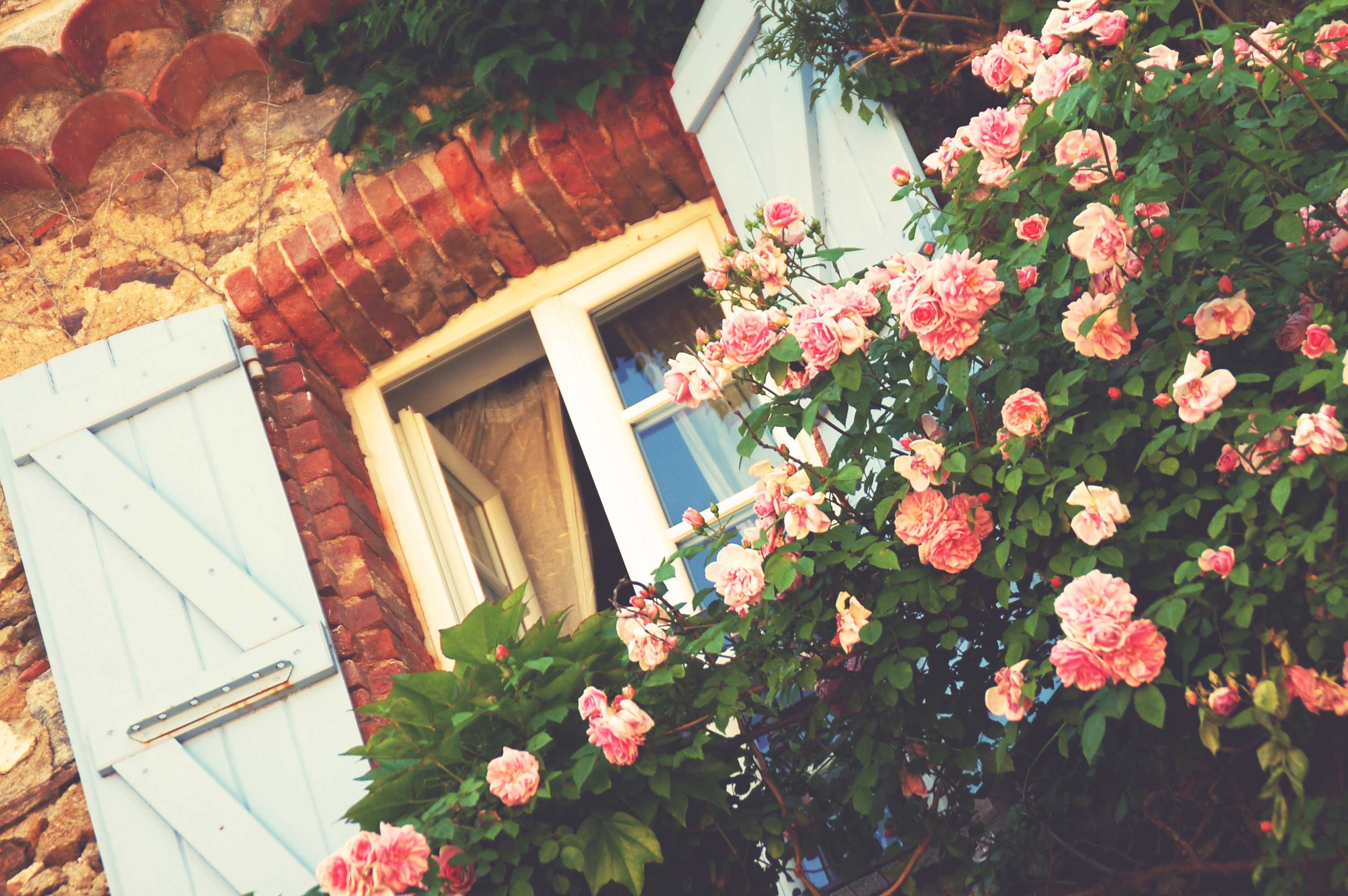 photographe Bressuire