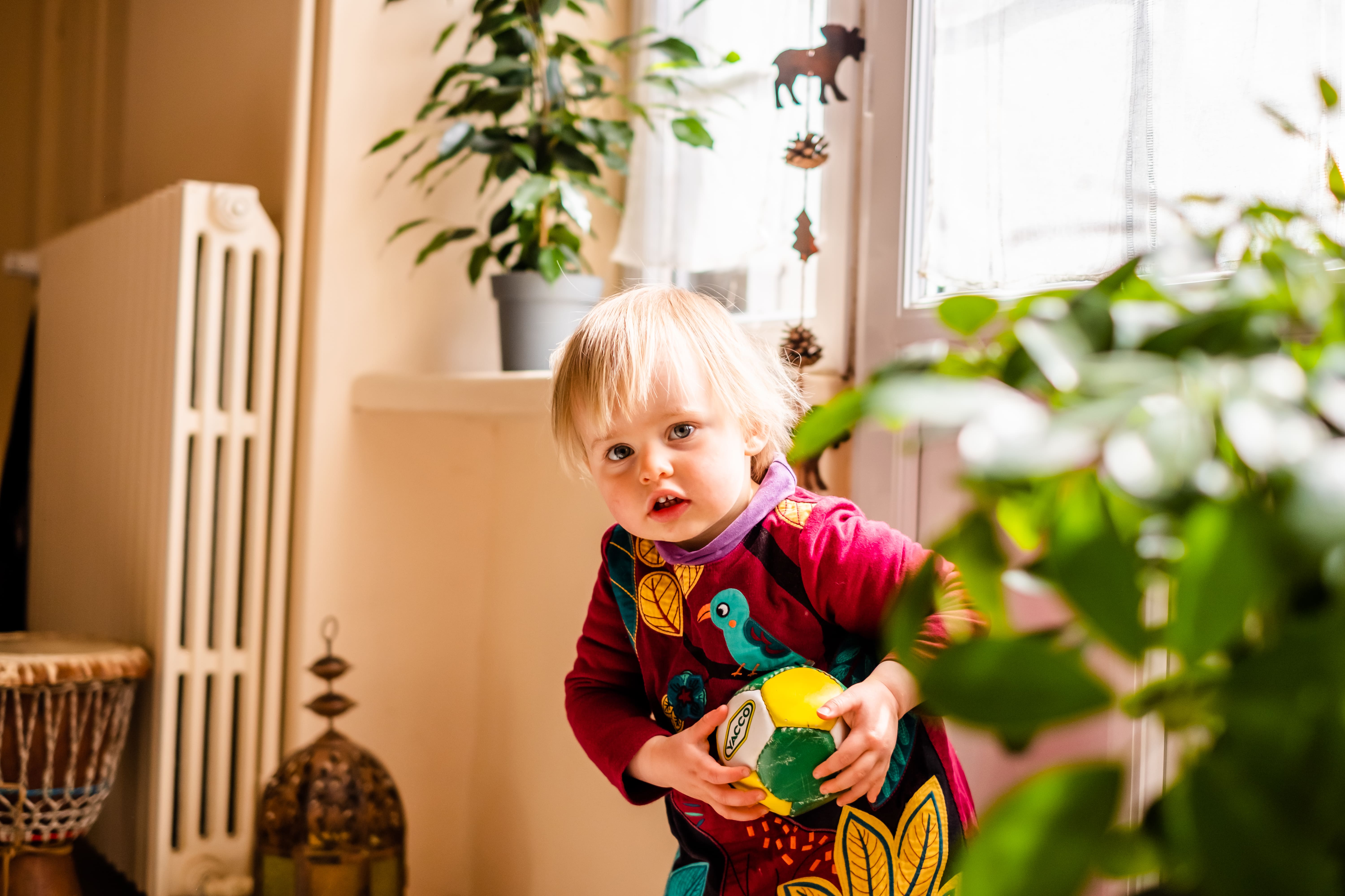 Photographe Bressuire