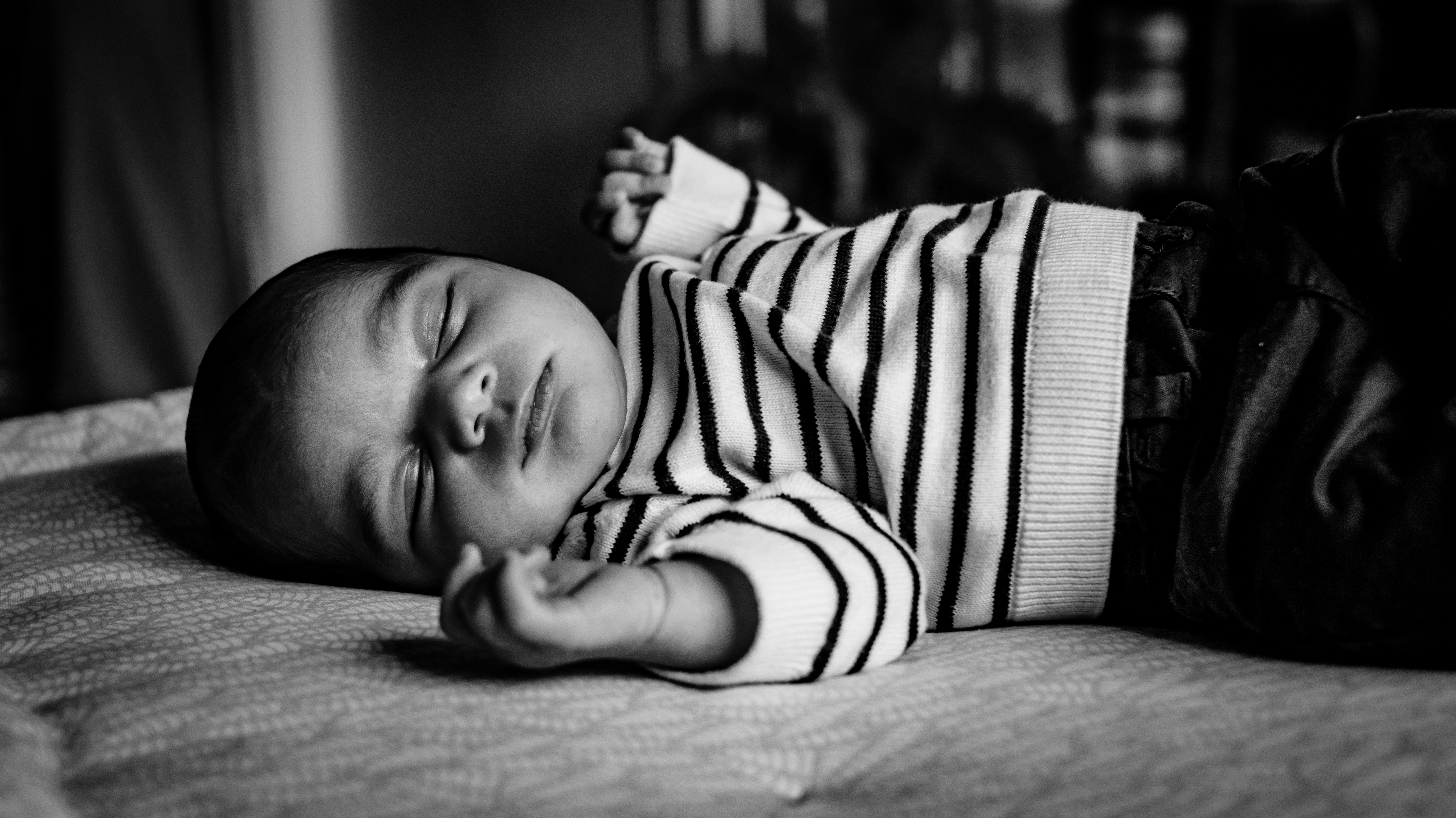 Photographe Bressuire