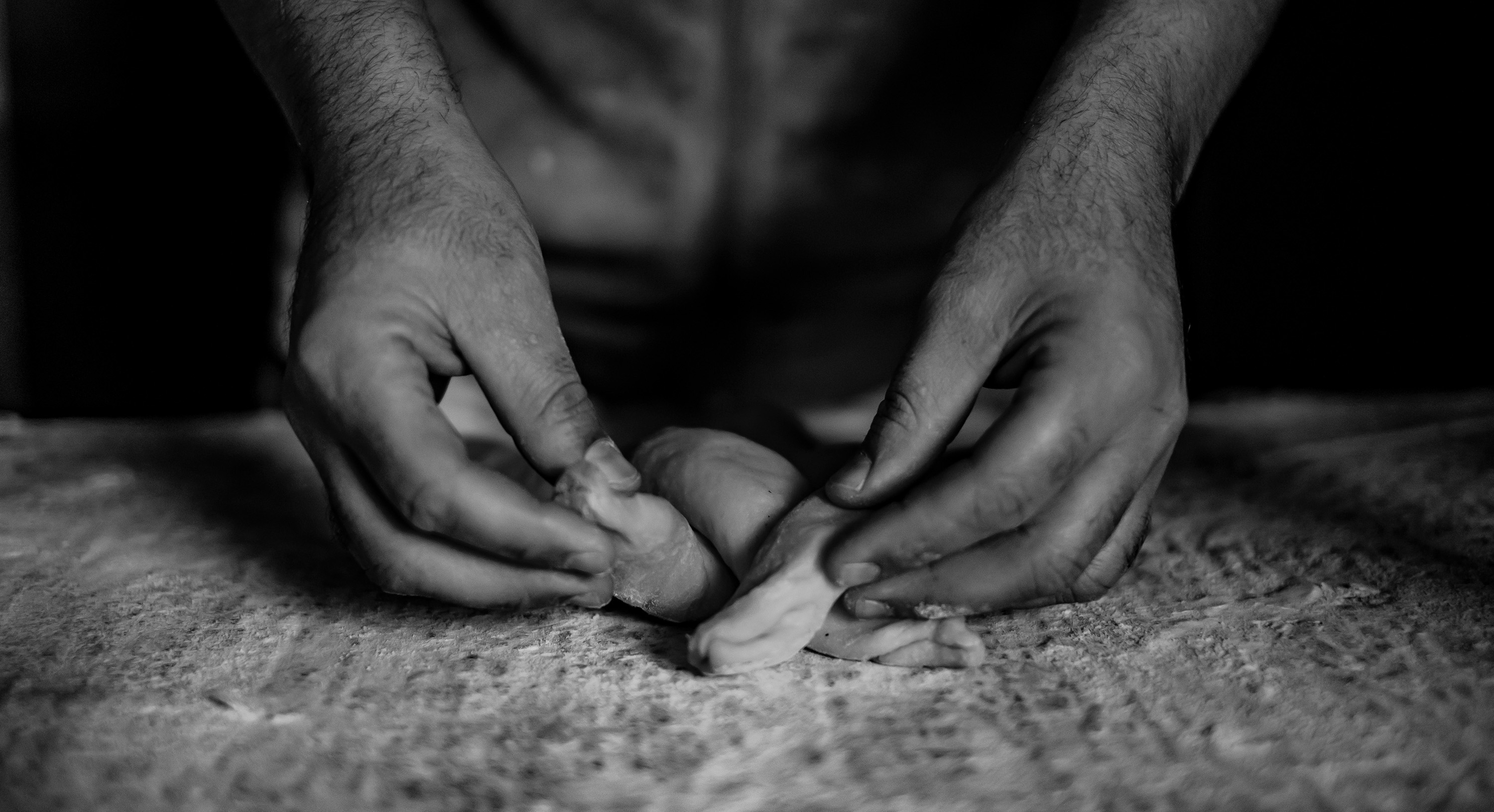 Photographe Bressuire