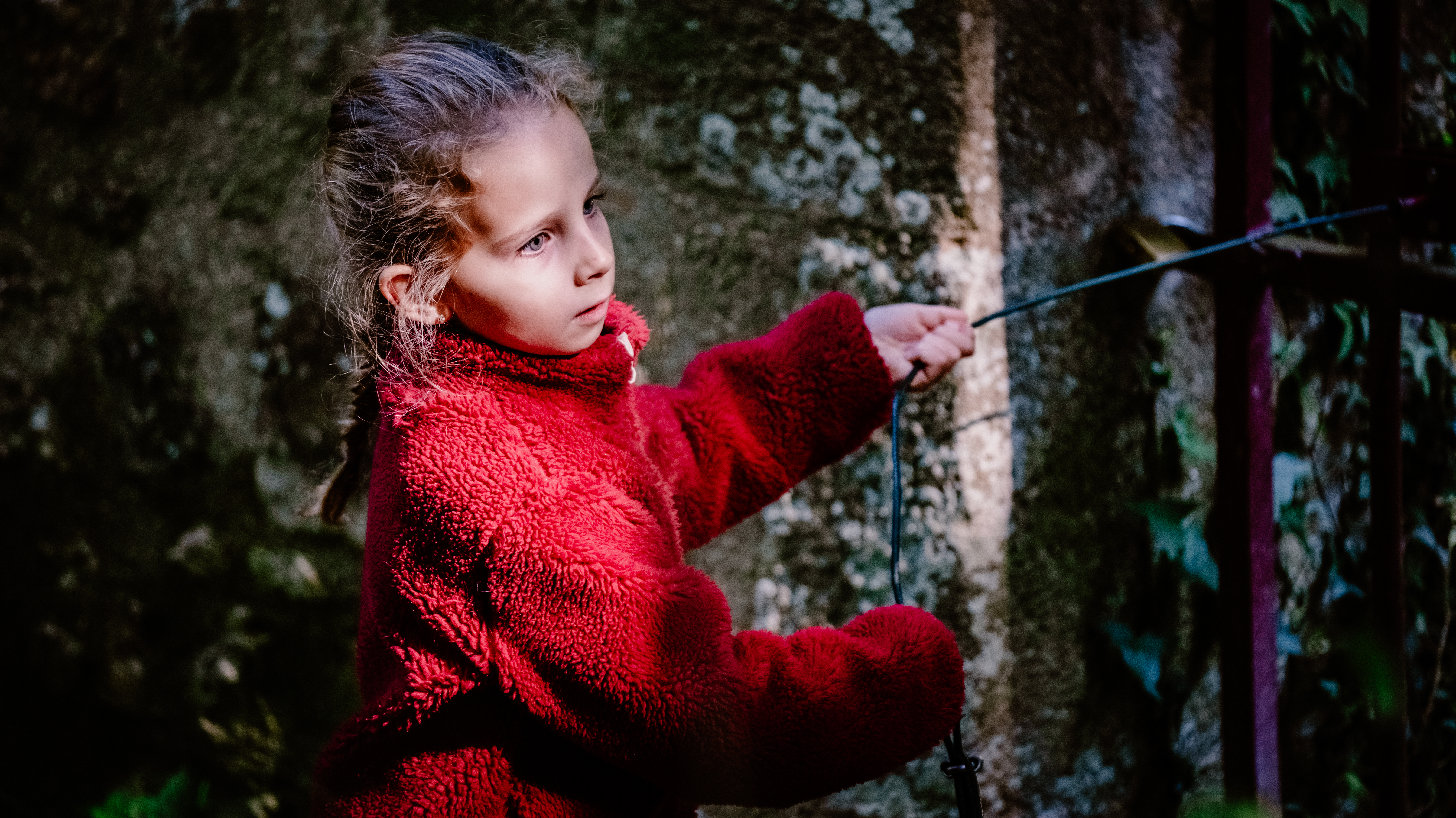 Photographe Bressuire