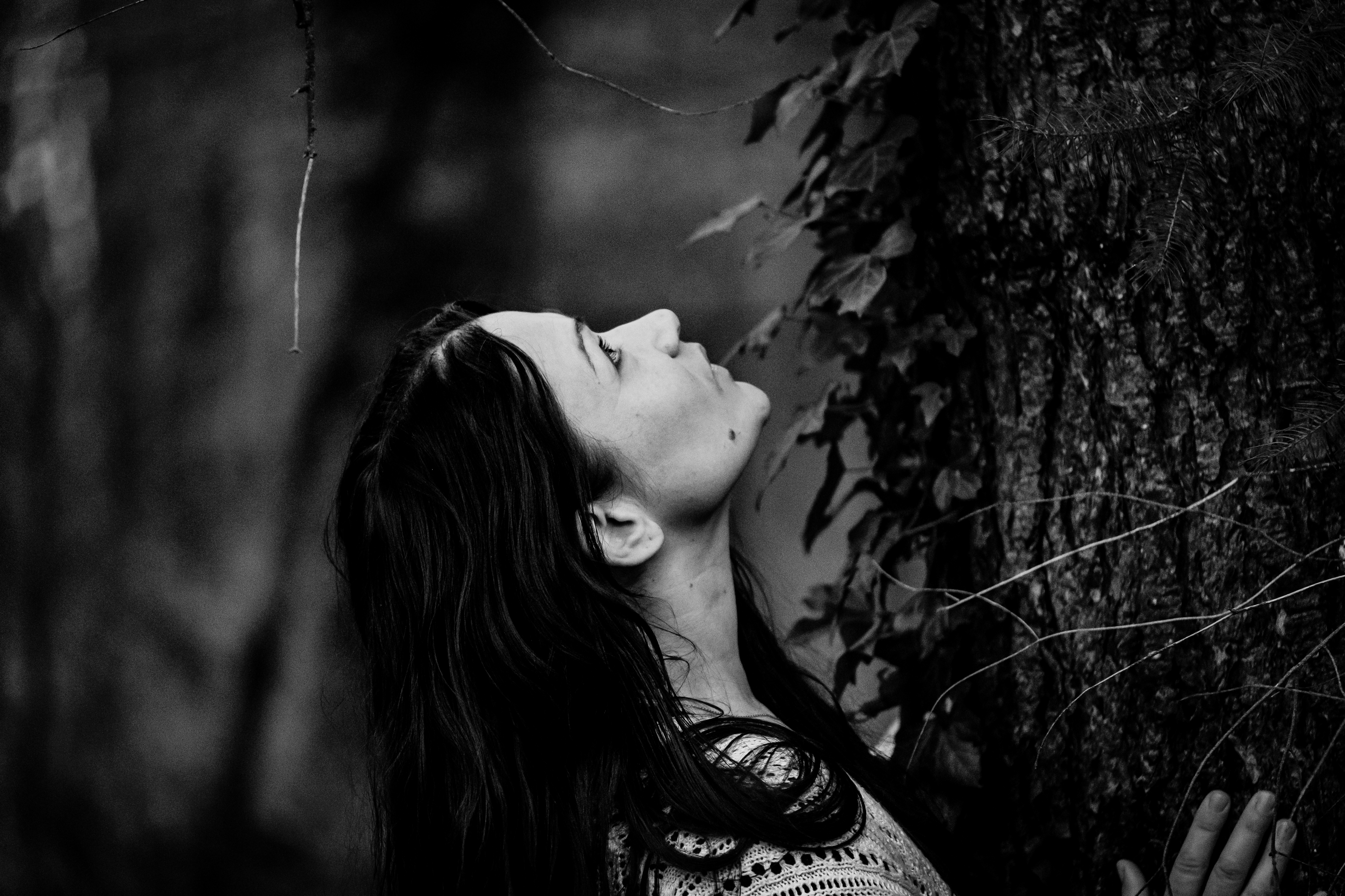 Photographe Bressuire