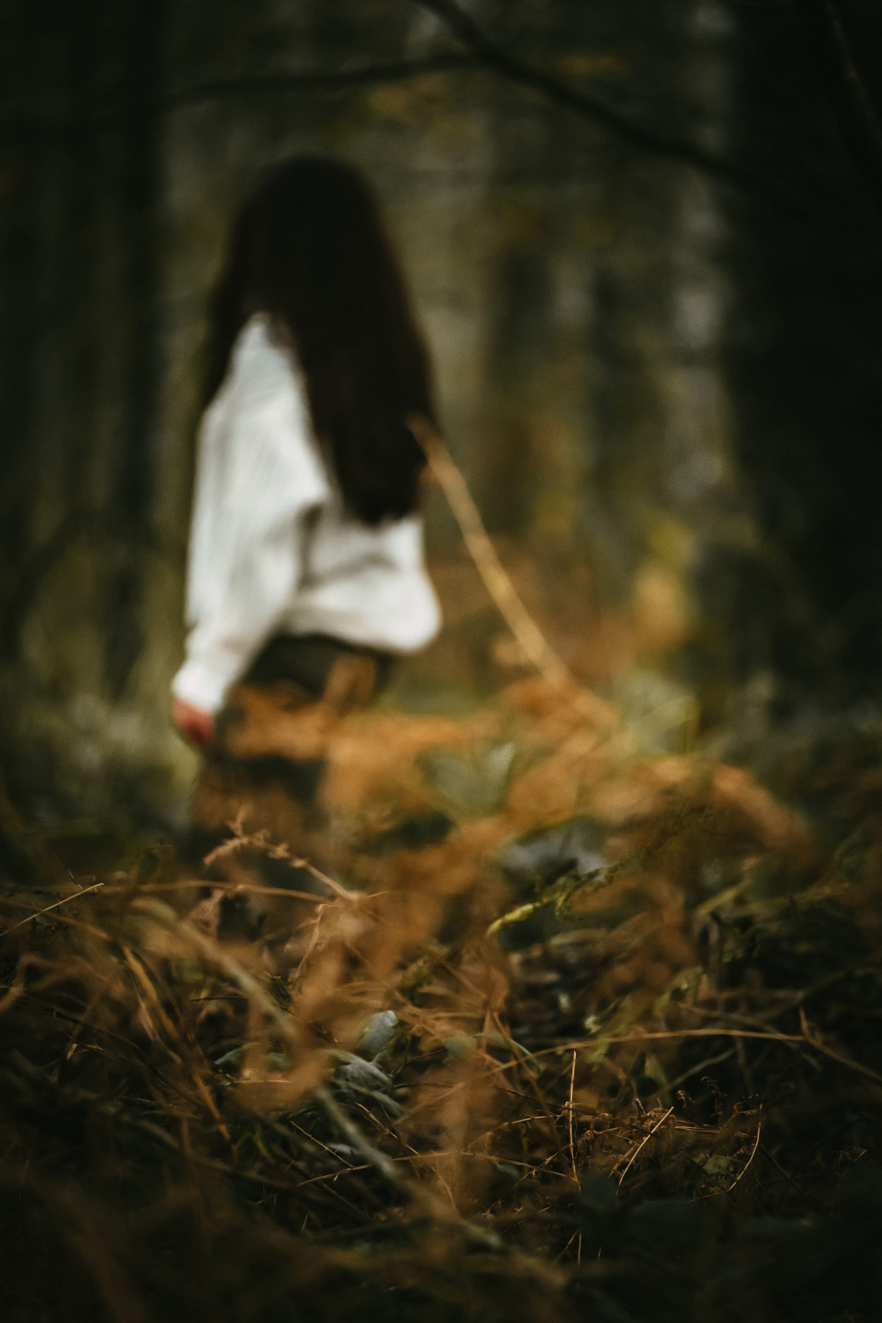 Photographe Bressuire