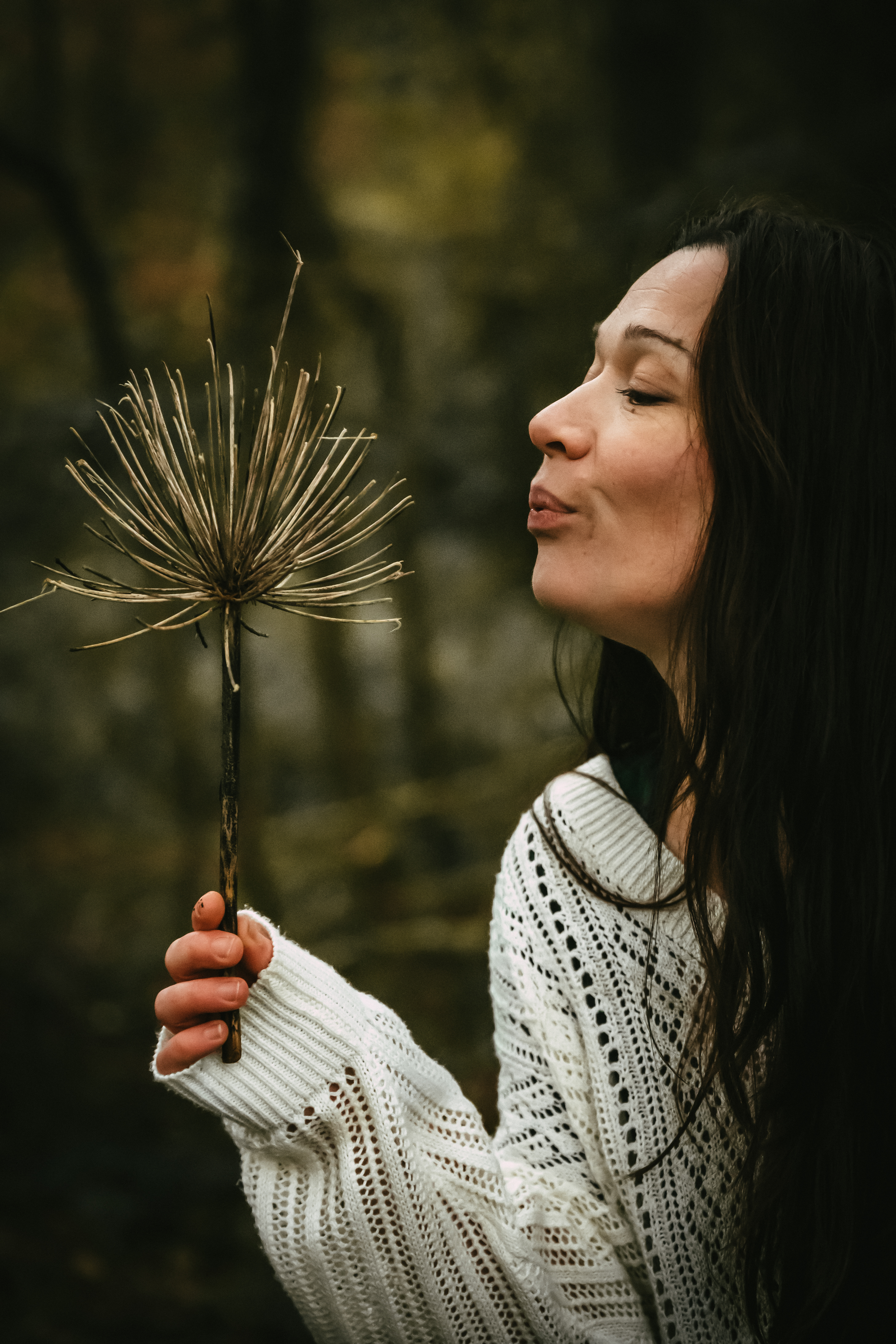 Photographe Bressuire