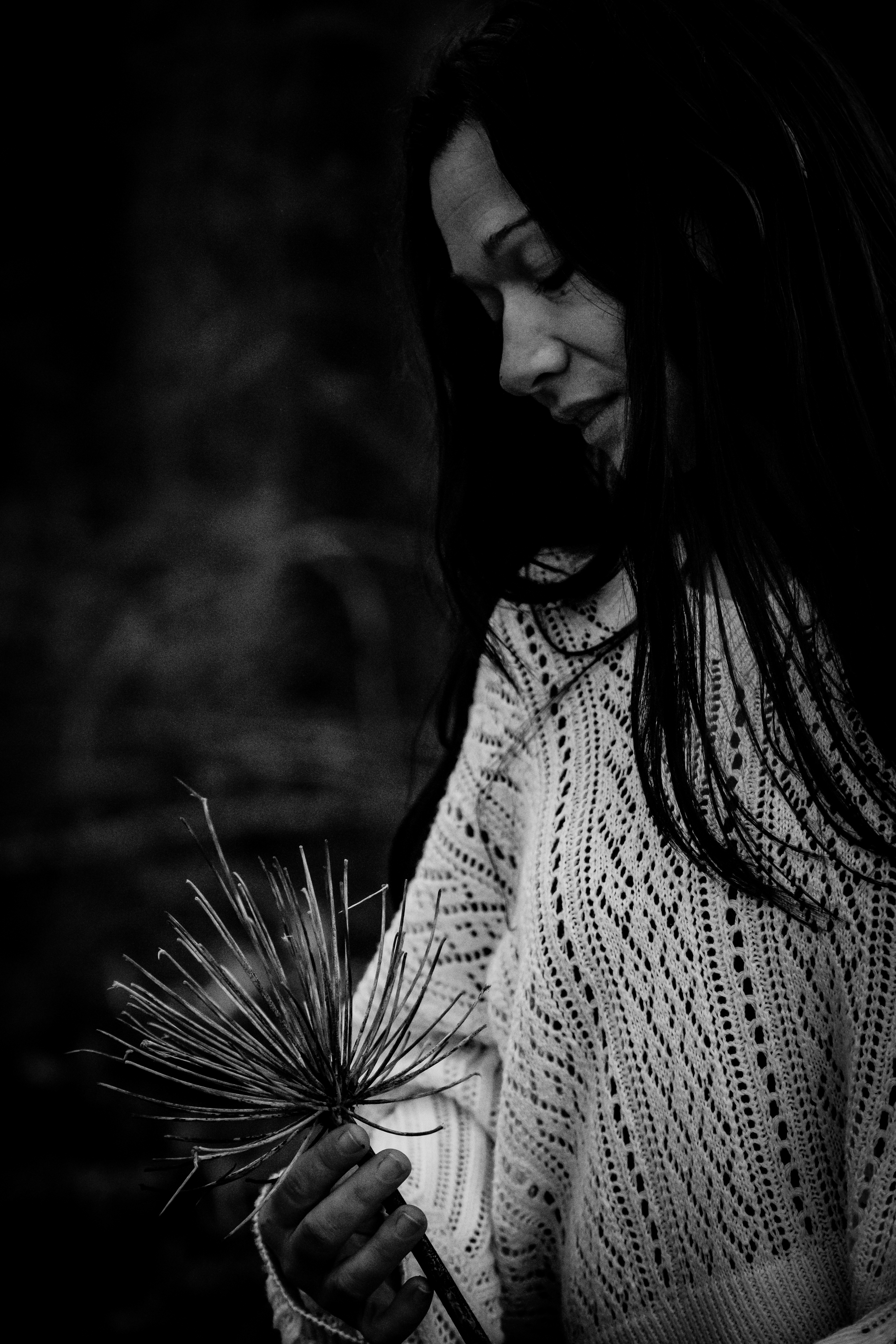 Photographe Bressuire