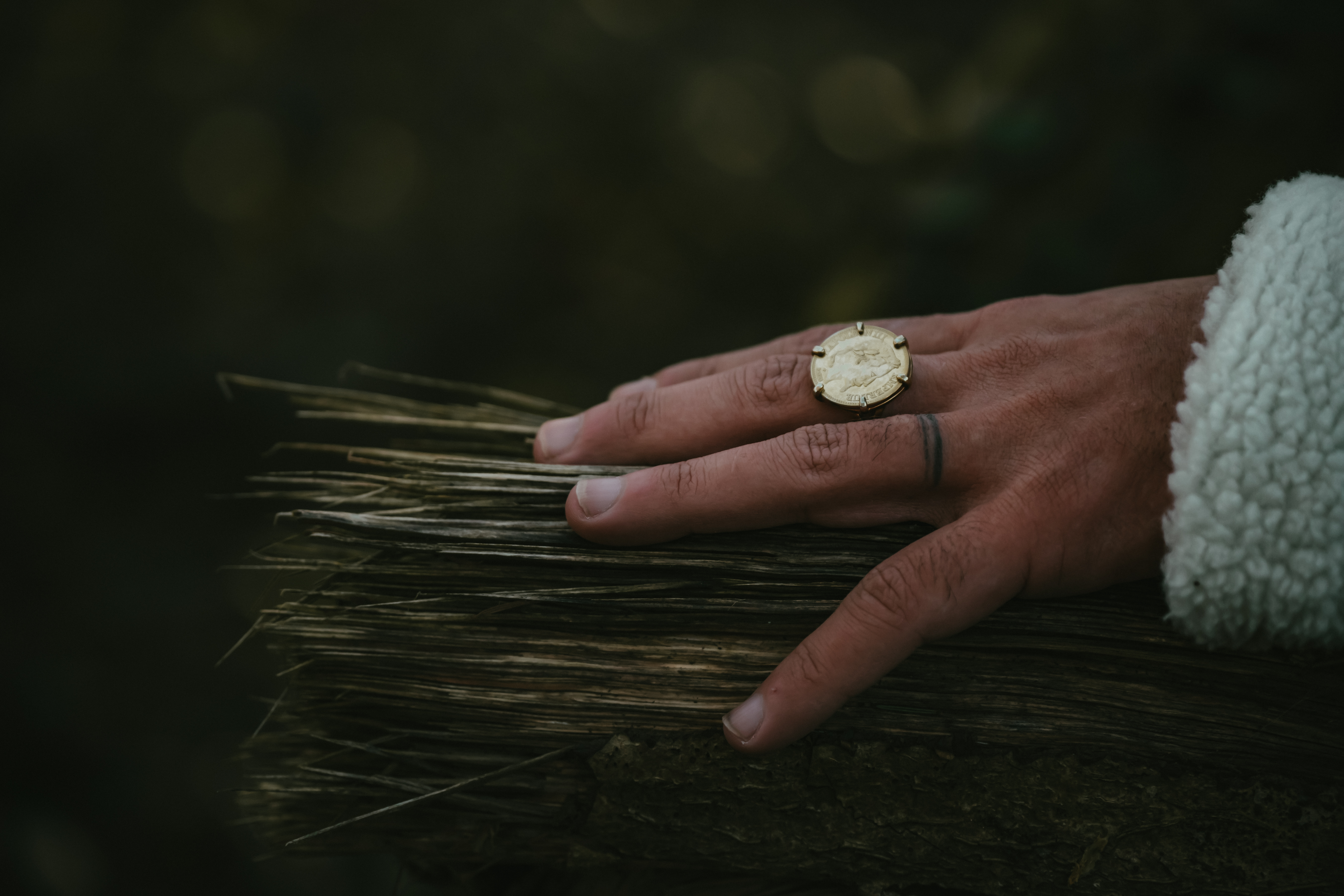 Photographe Bressuire