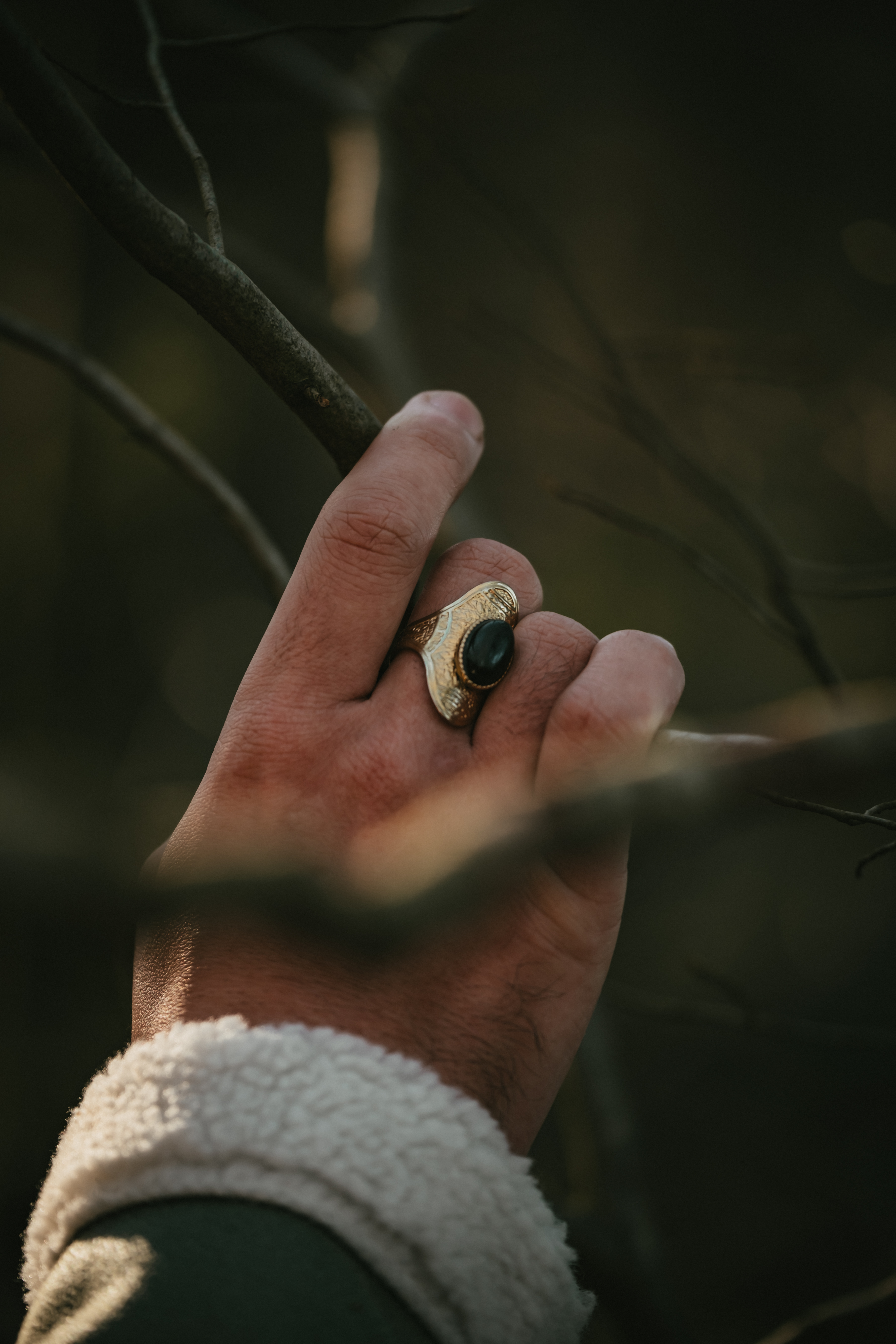 Photographe Bressuire