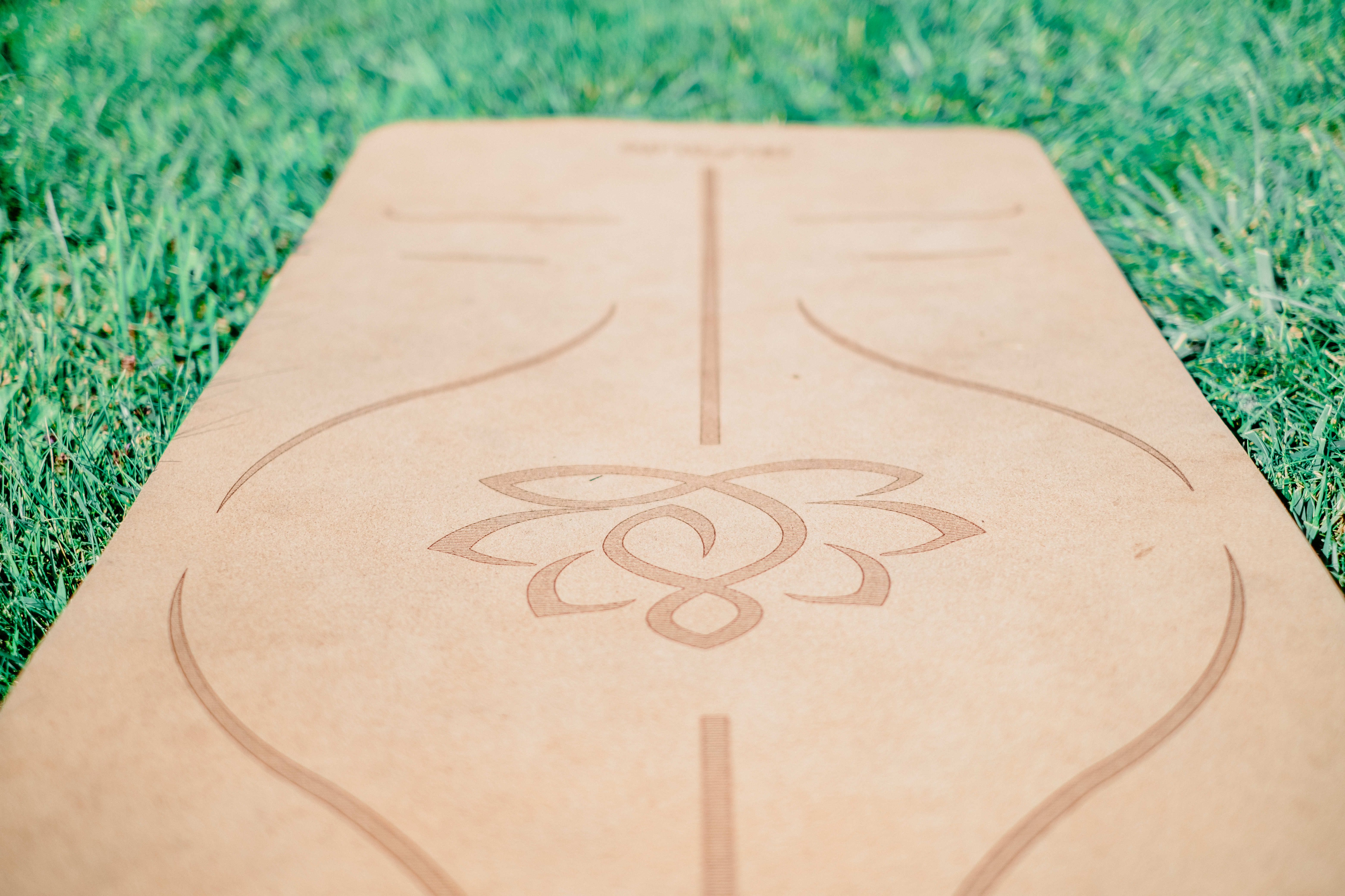 Photographe Bressuire