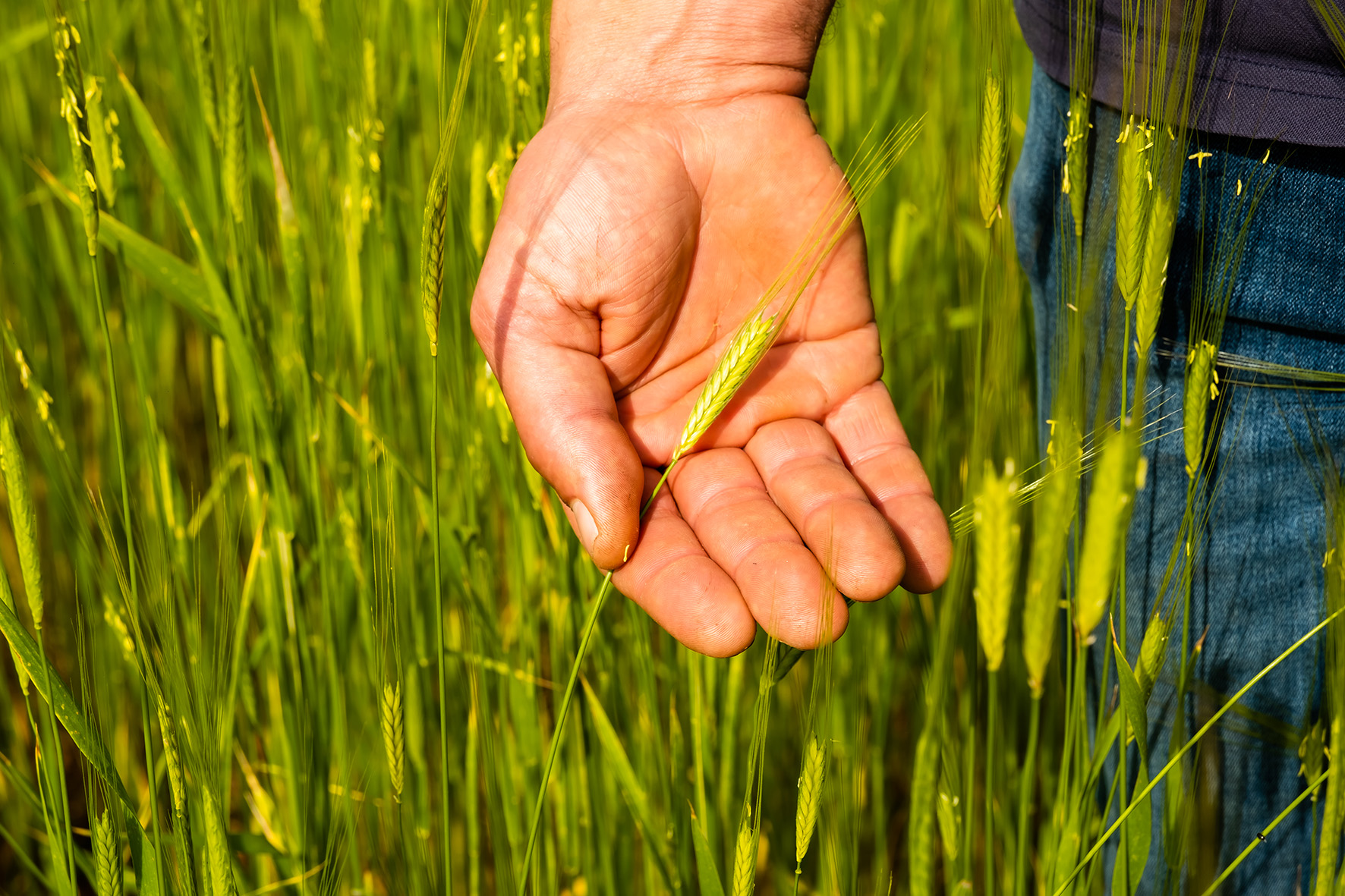 Photographe Bressuire