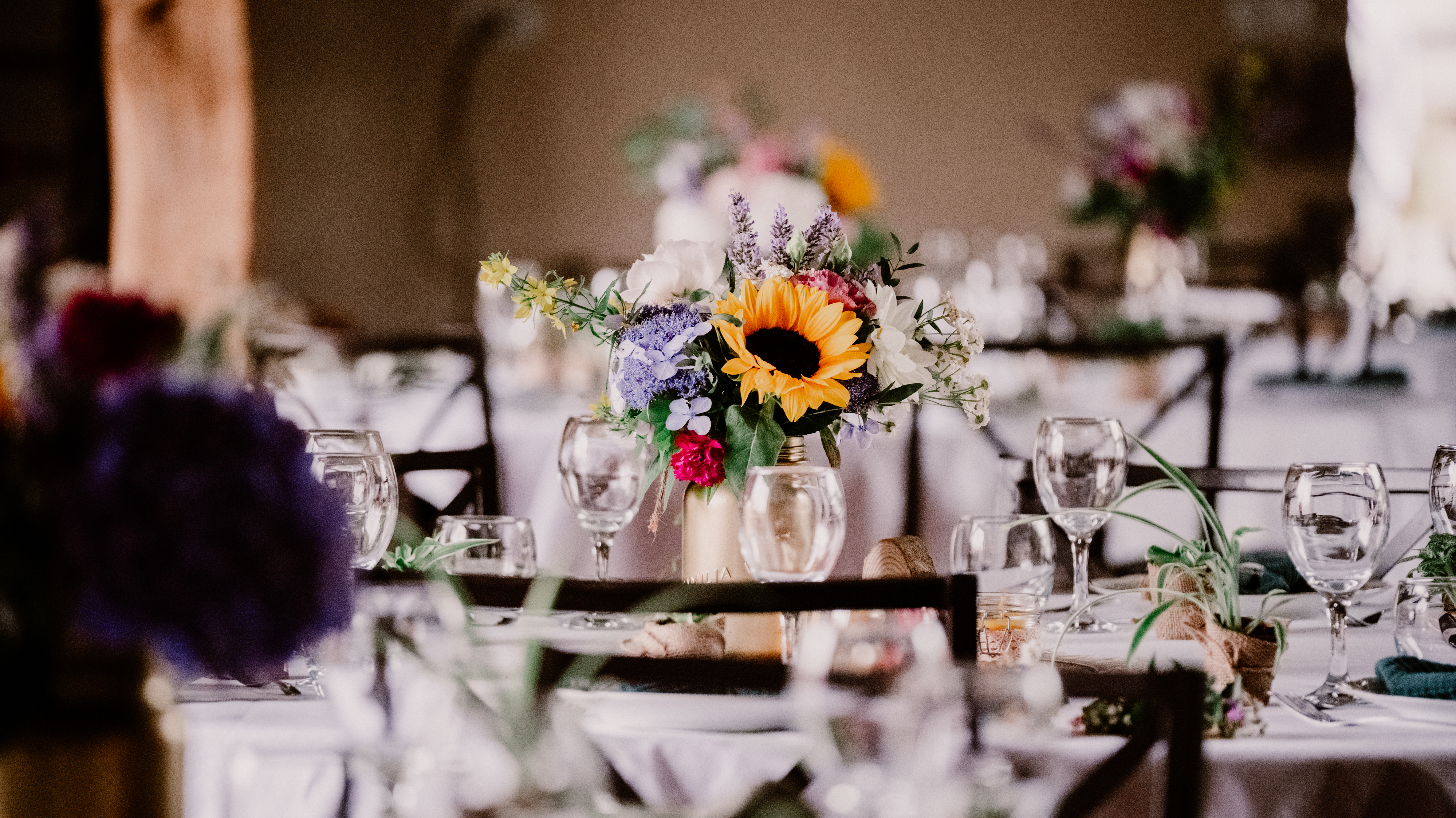 Photographe Bressuire