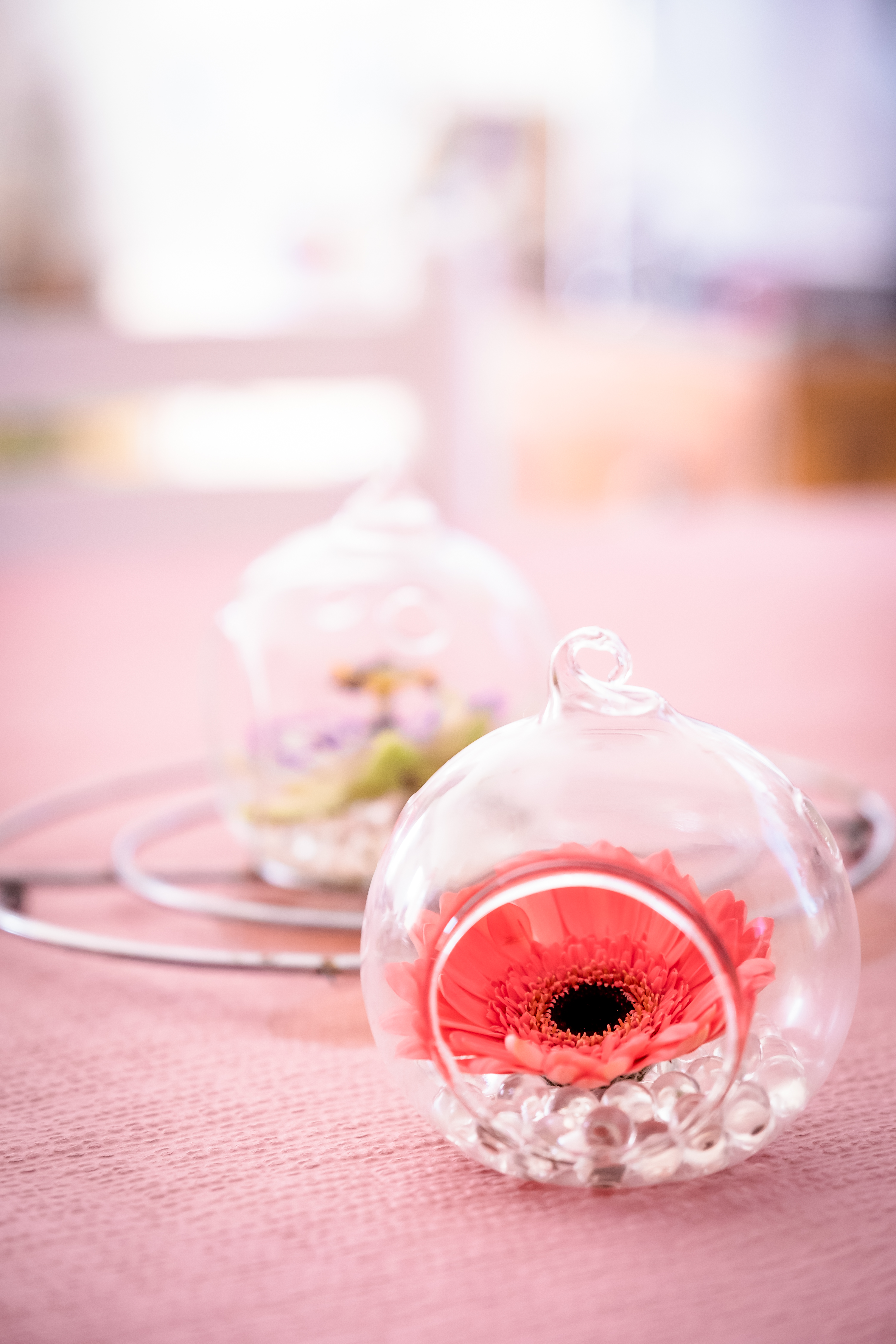 Photographe Bressuire