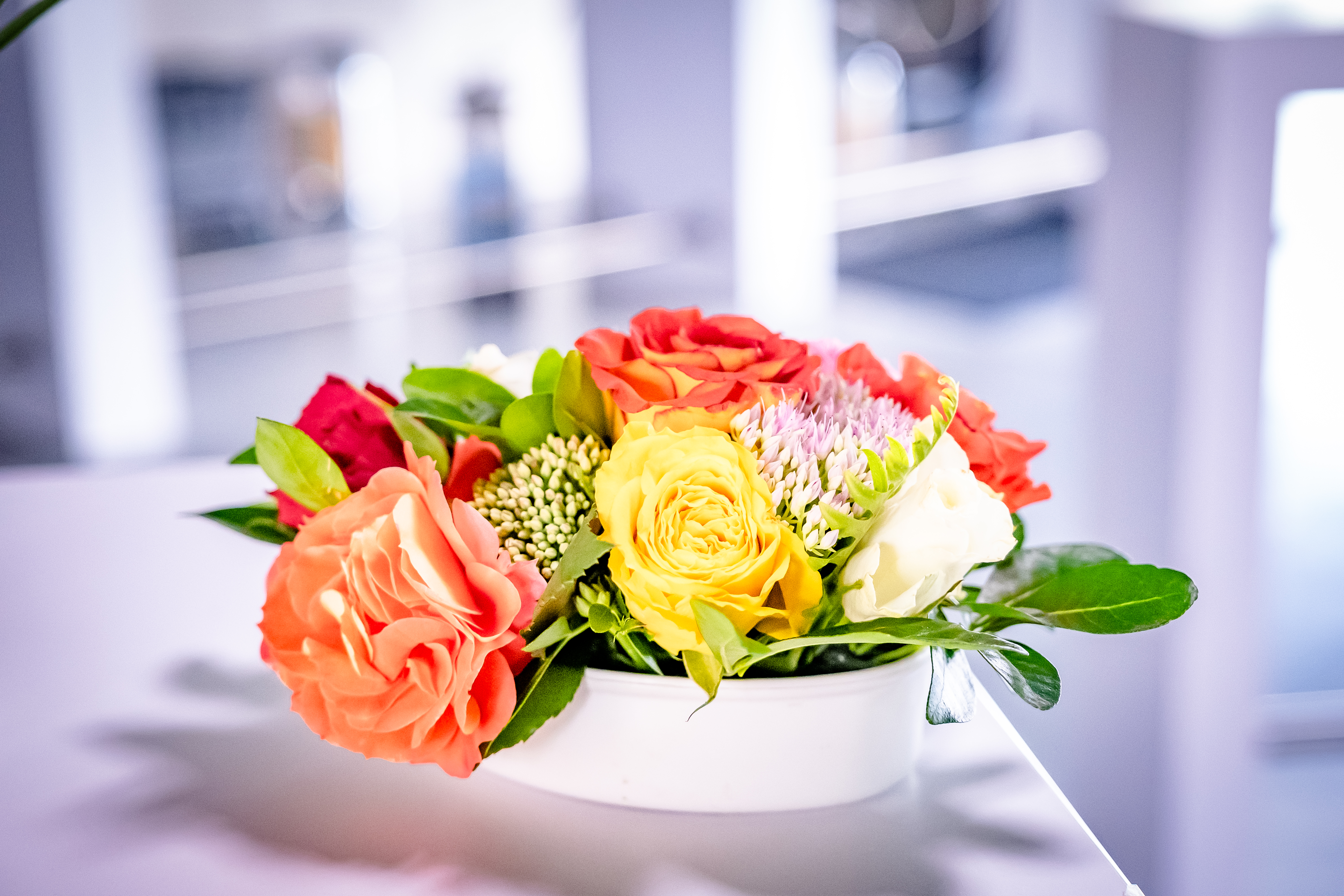 Photographe Bressuire