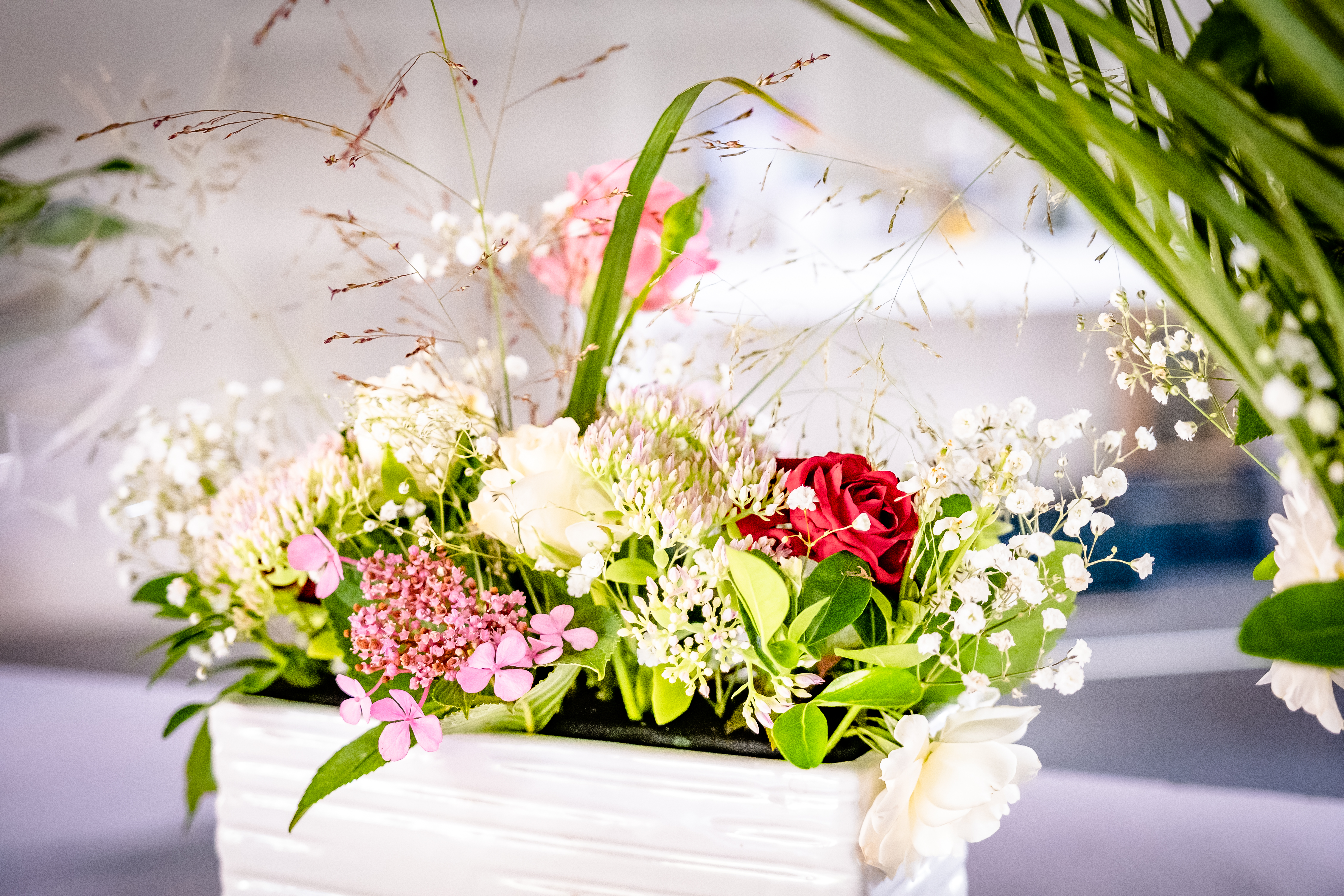 Photographe Bressuire