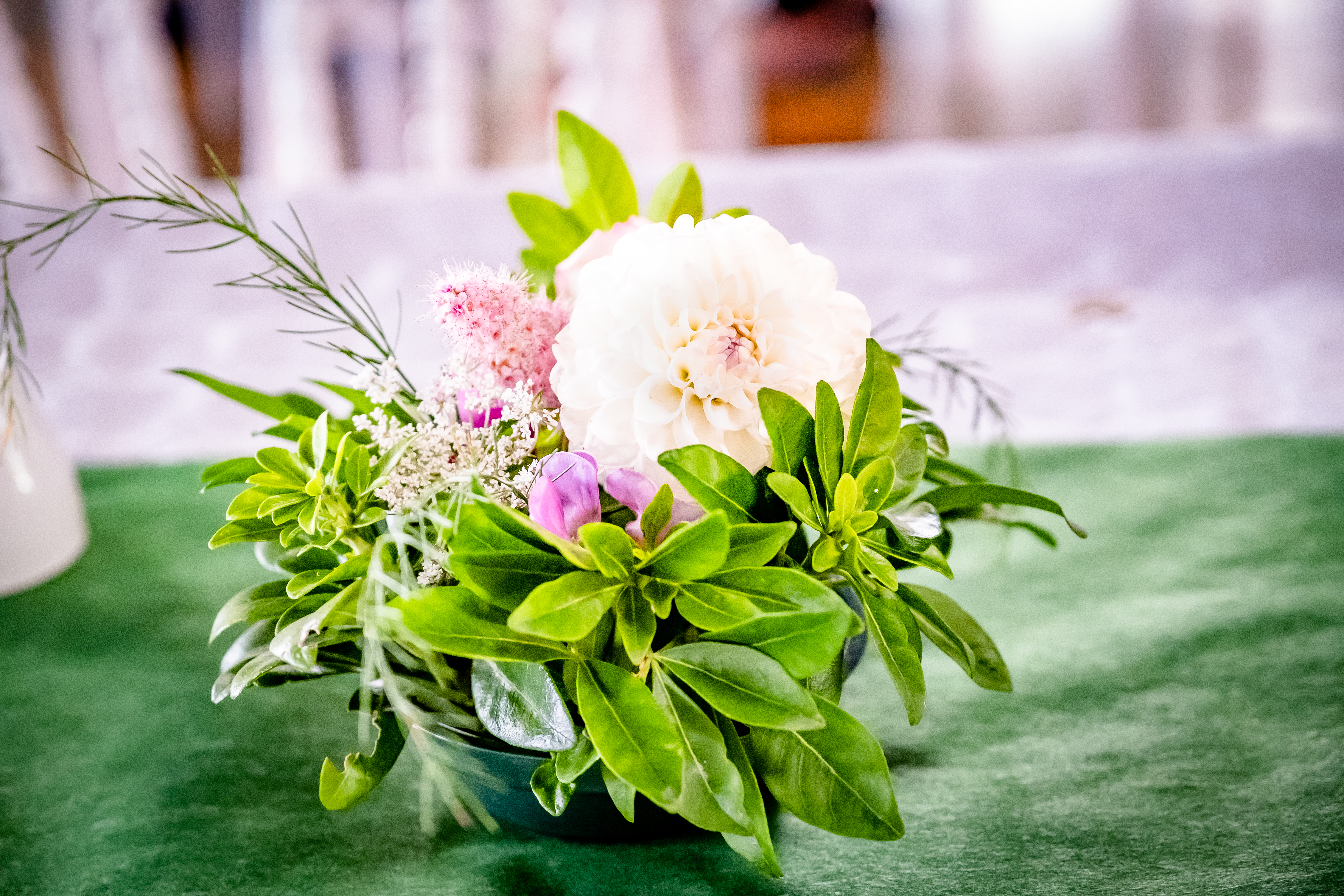 Photographe Bressuire