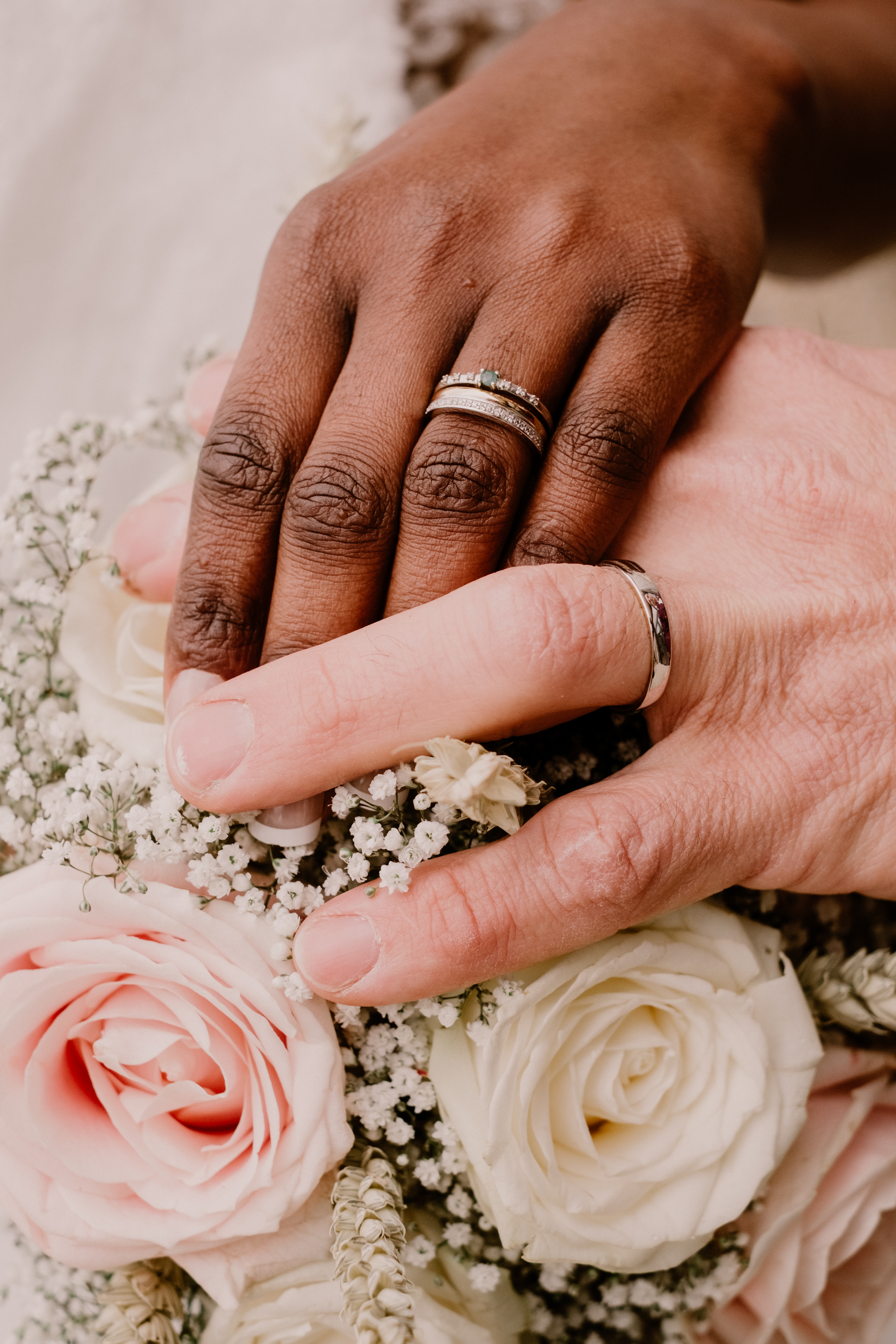 Photographe Bressuire