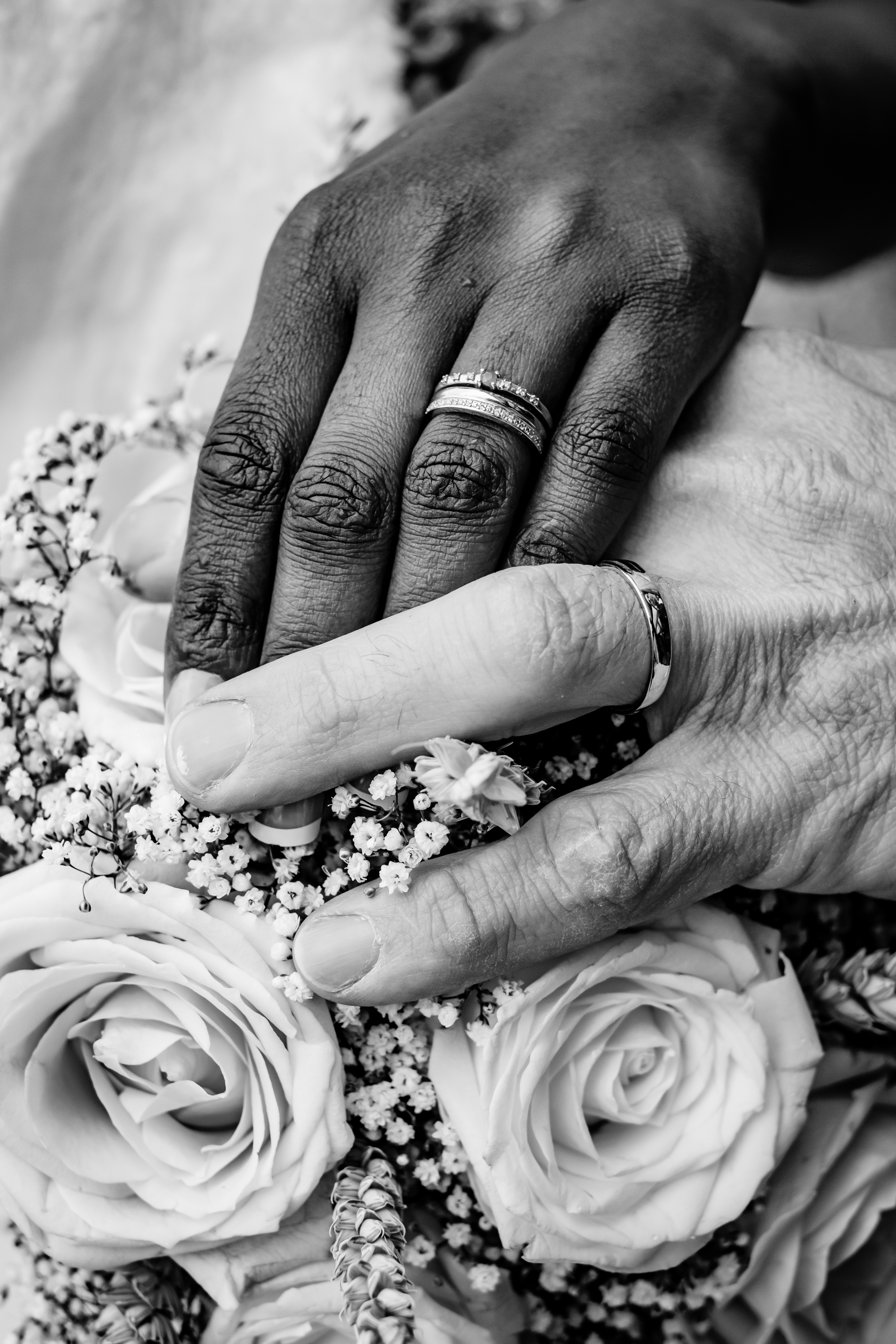 Photographe Bressuire