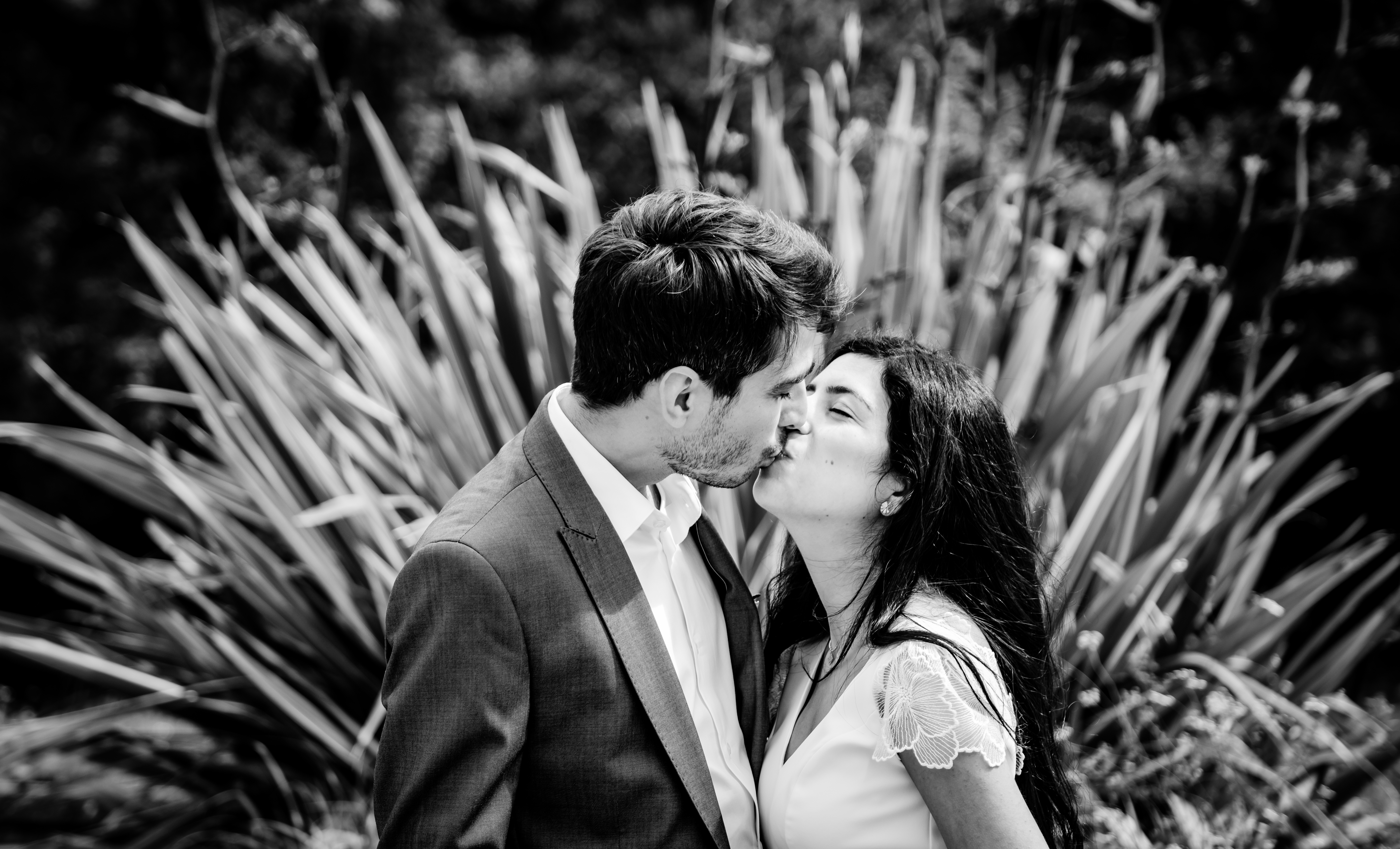 Photographe Bressuire