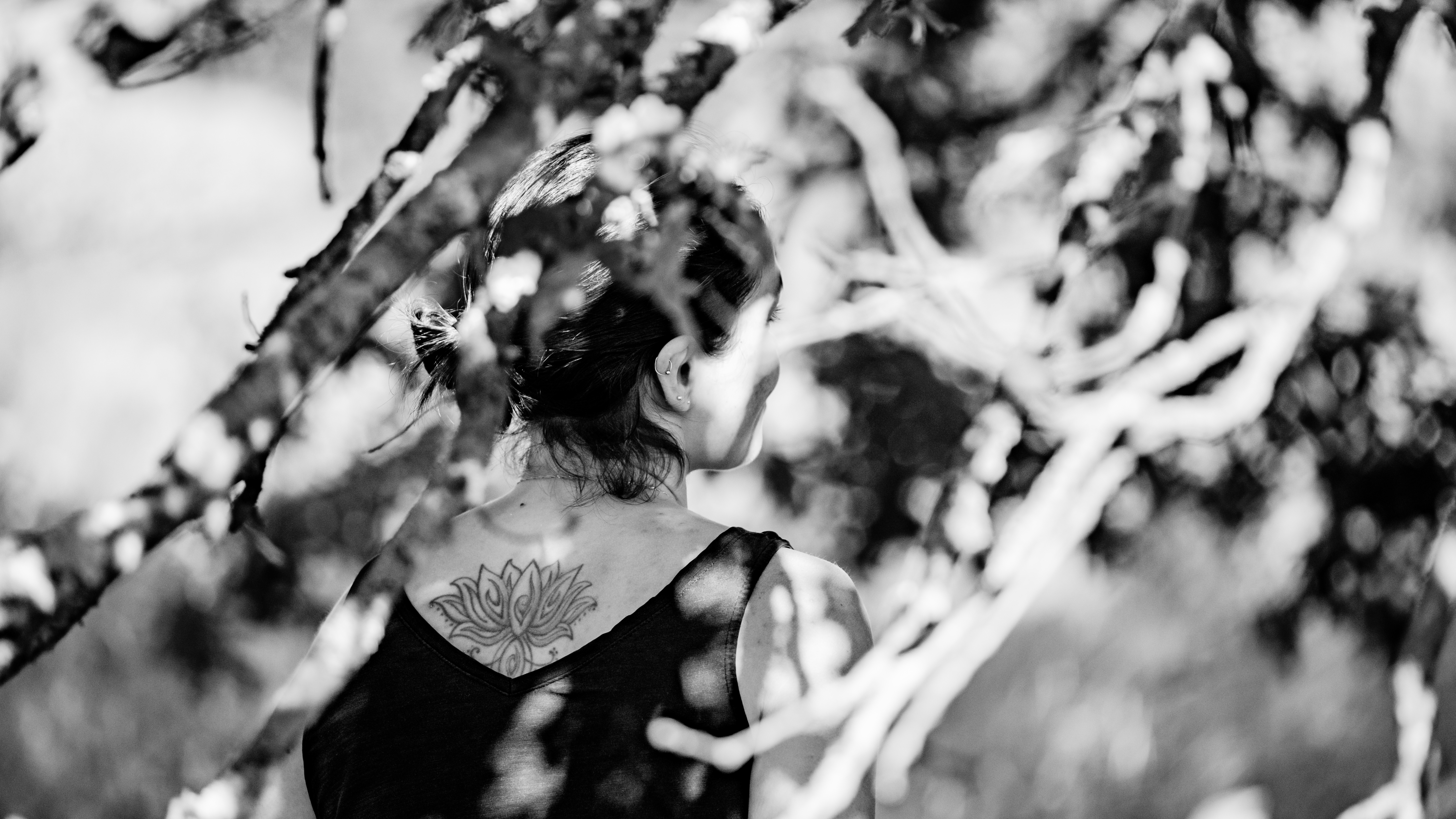 Photographe Bressuire