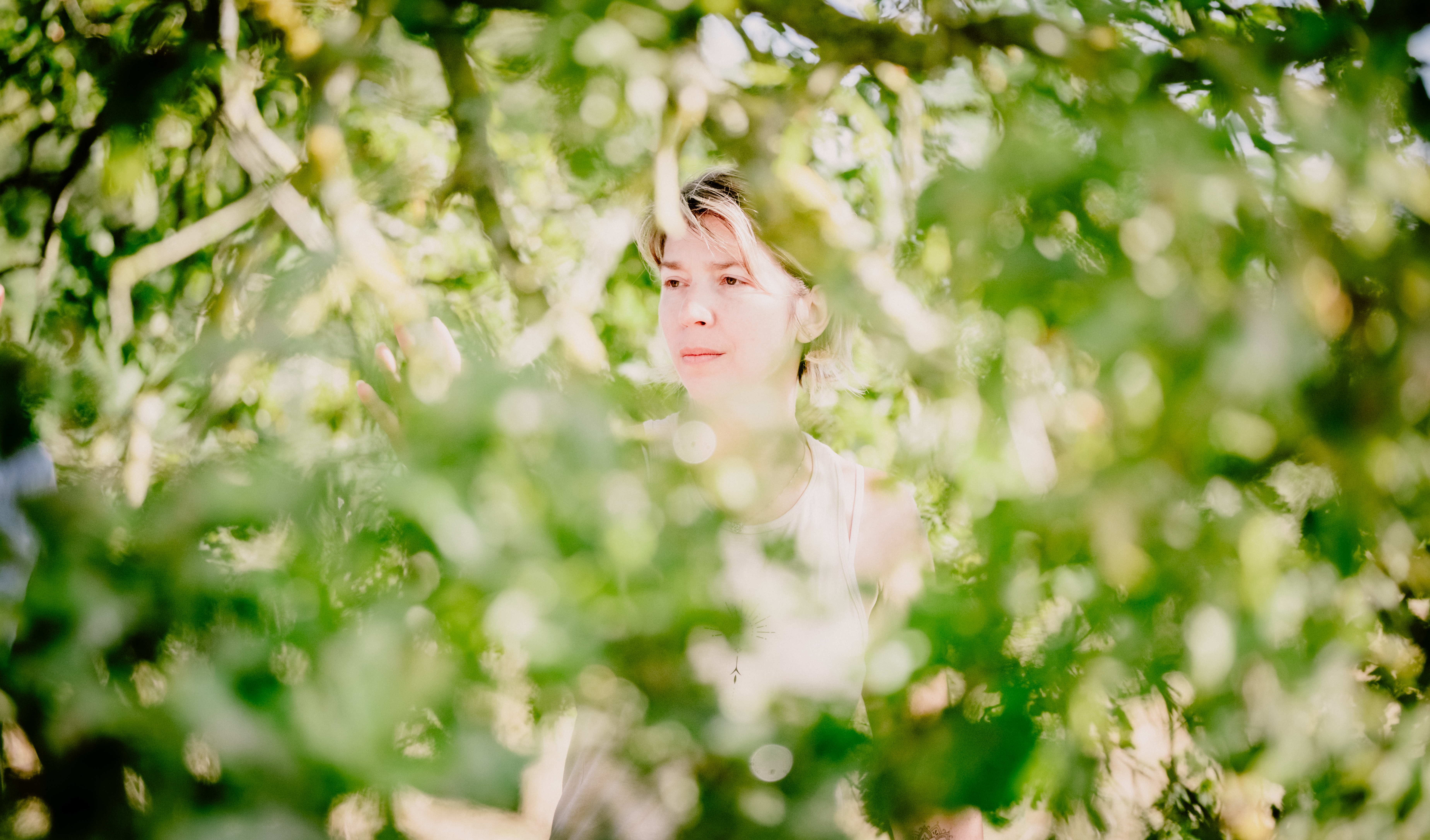 Photographe Bressuire