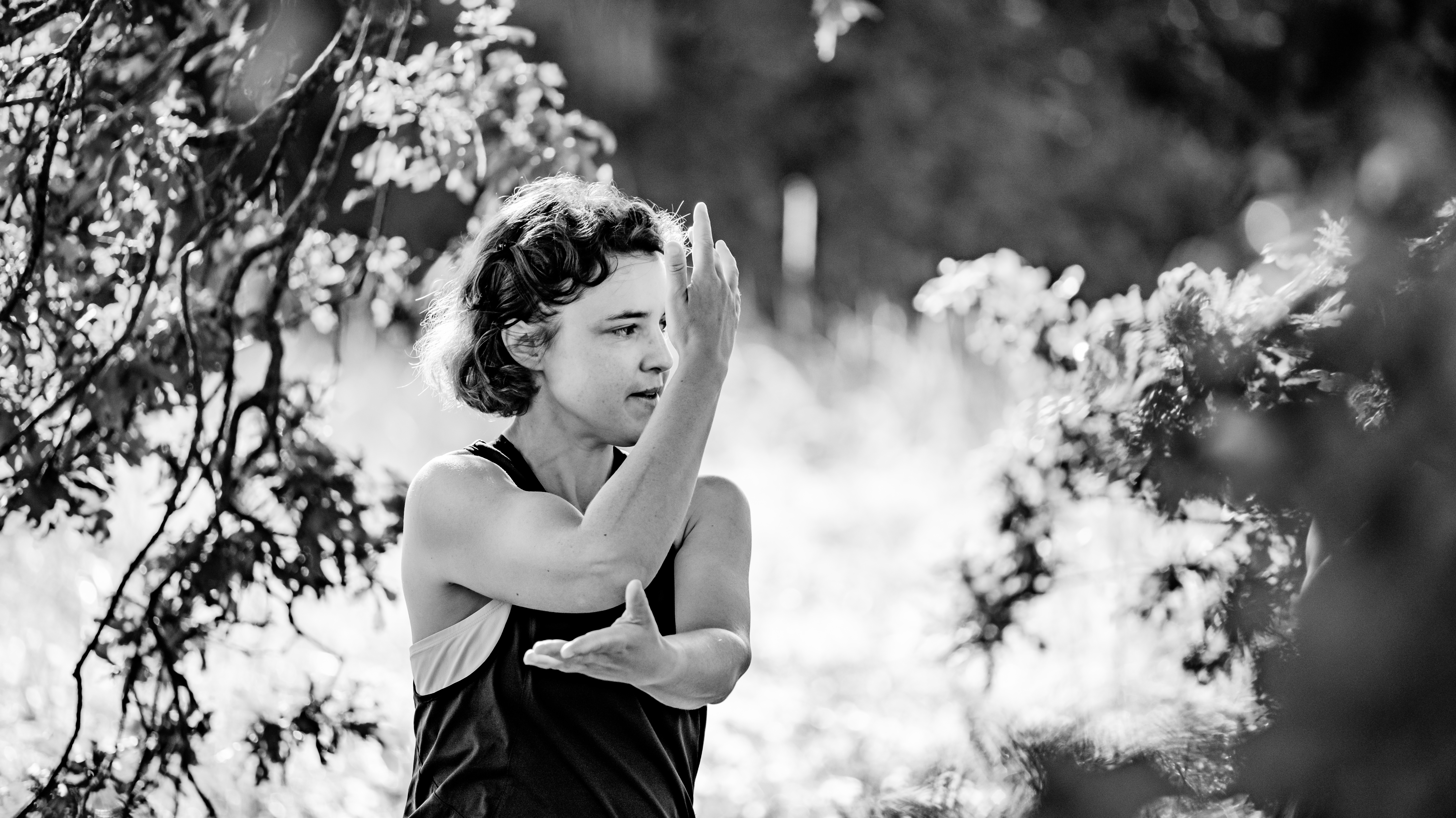 Photographe Bressuire