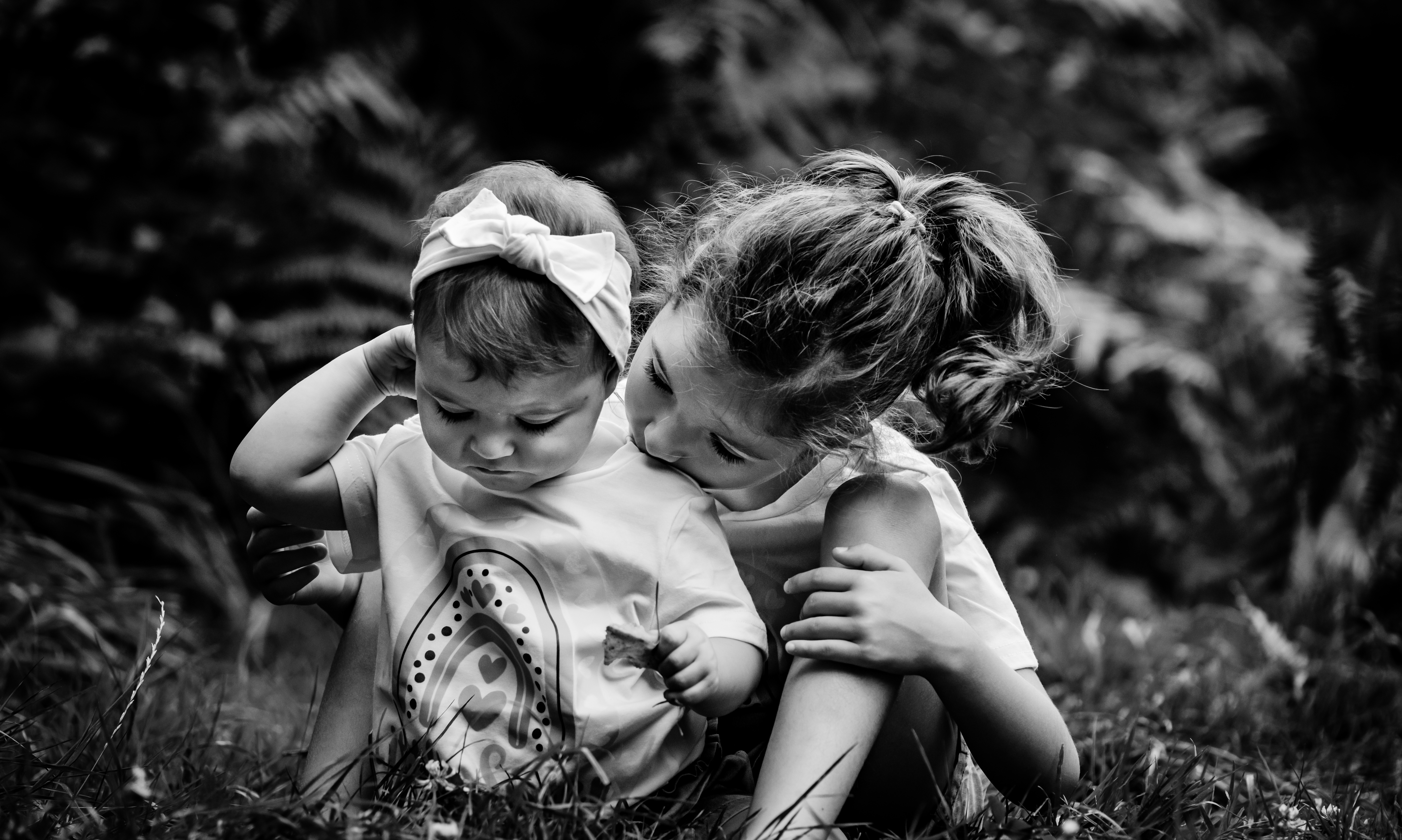 Photographe Bressuire