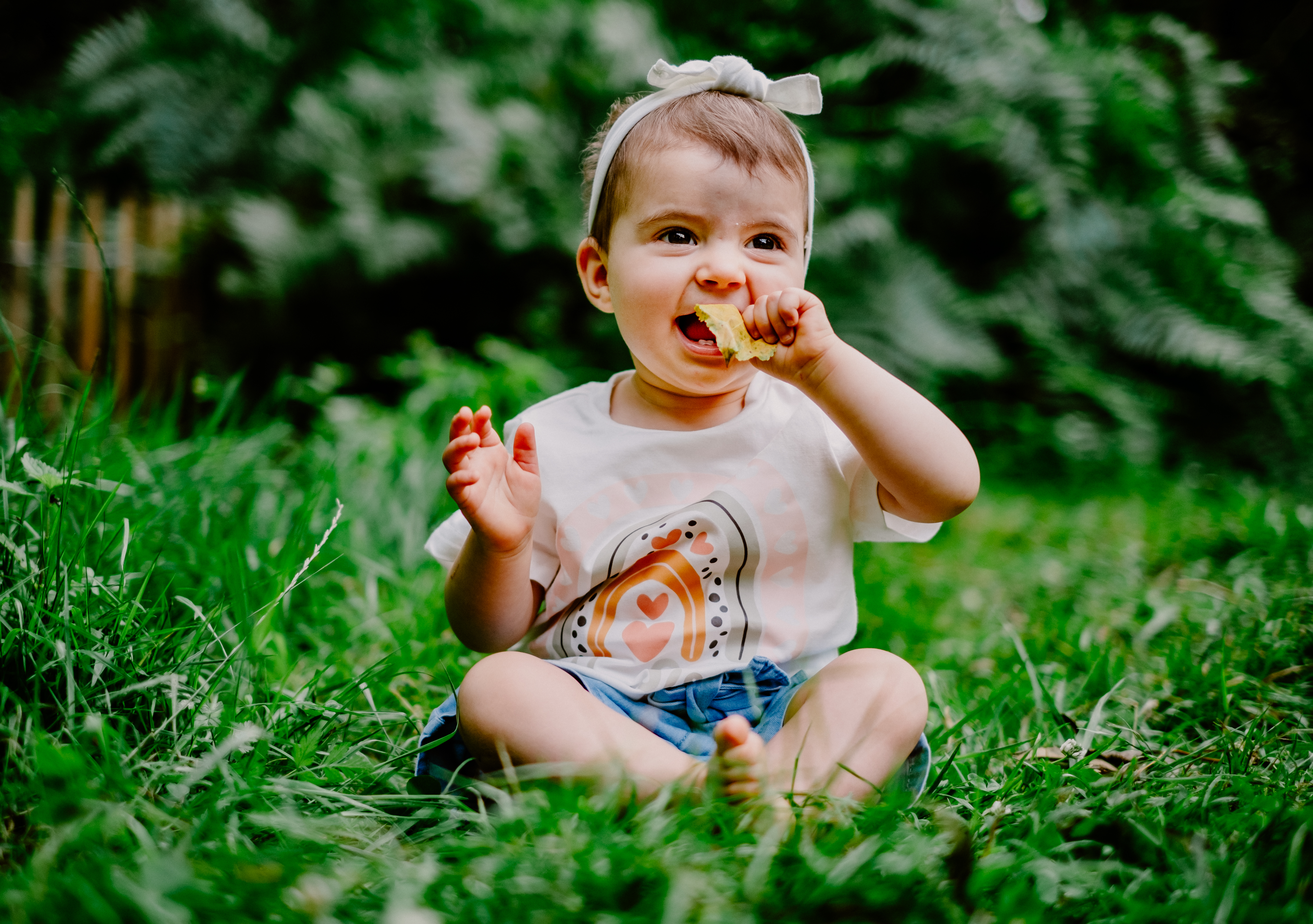 Photographe Bressuire