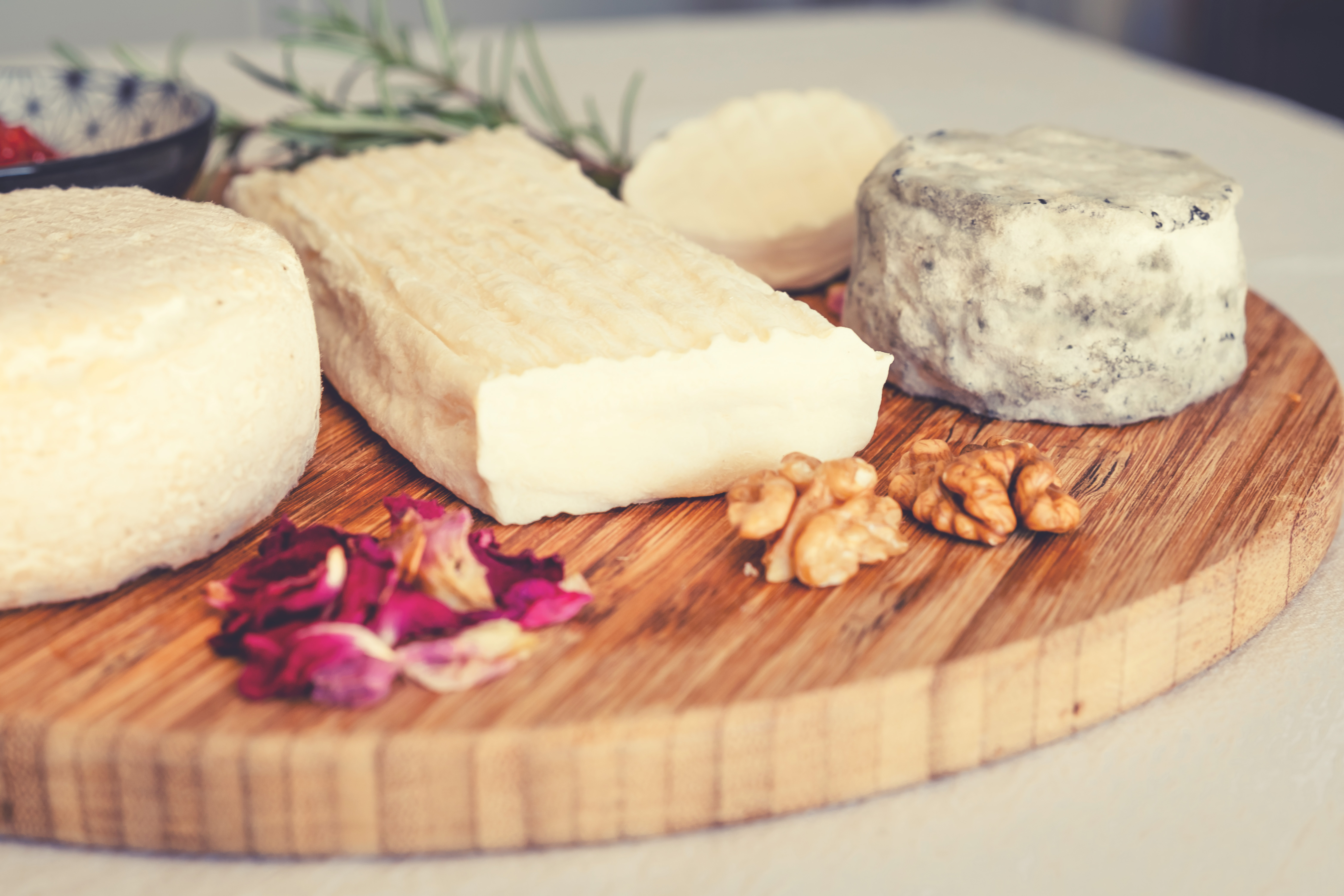 Photographe Bressuire