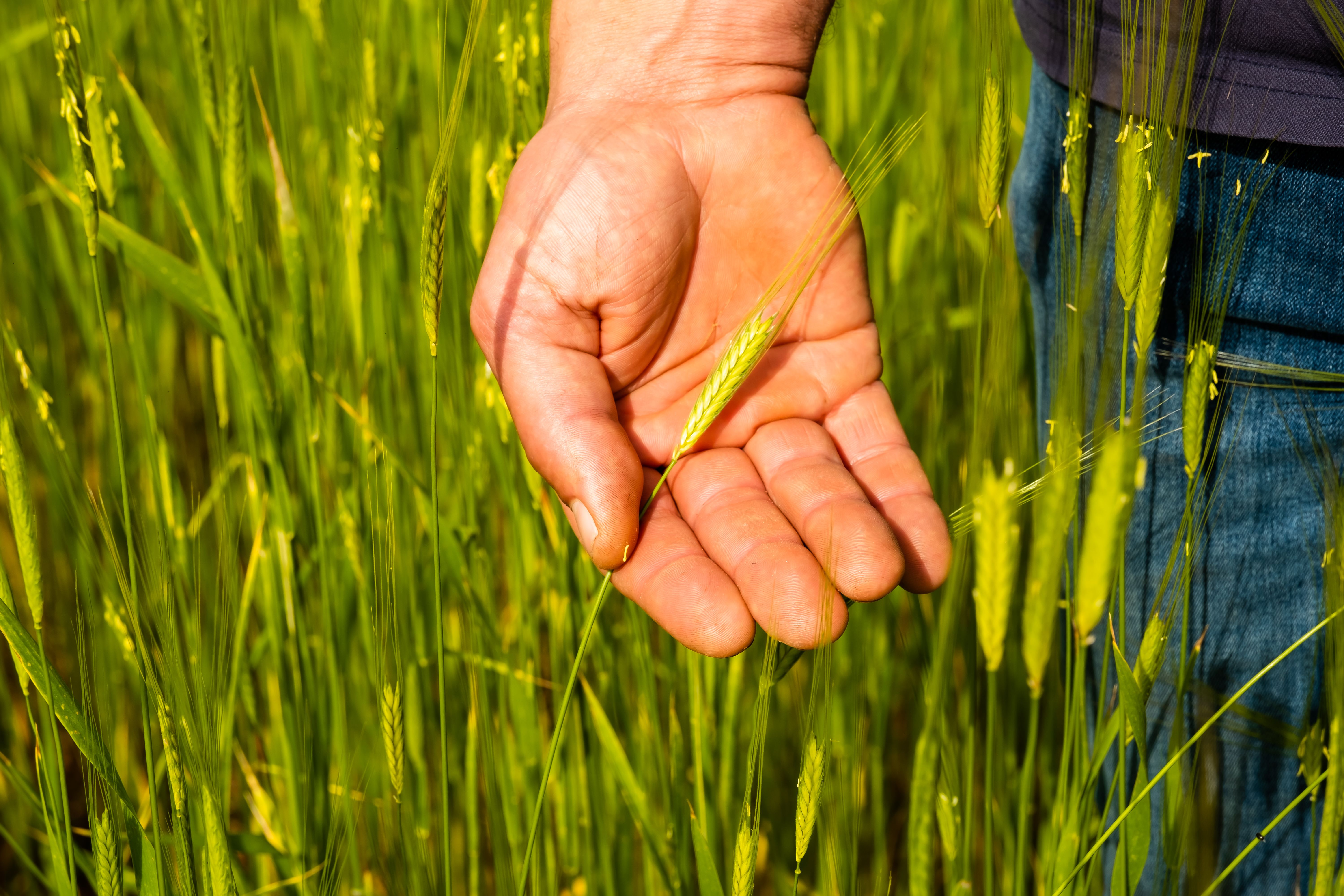 photographe entreprise Bressuire