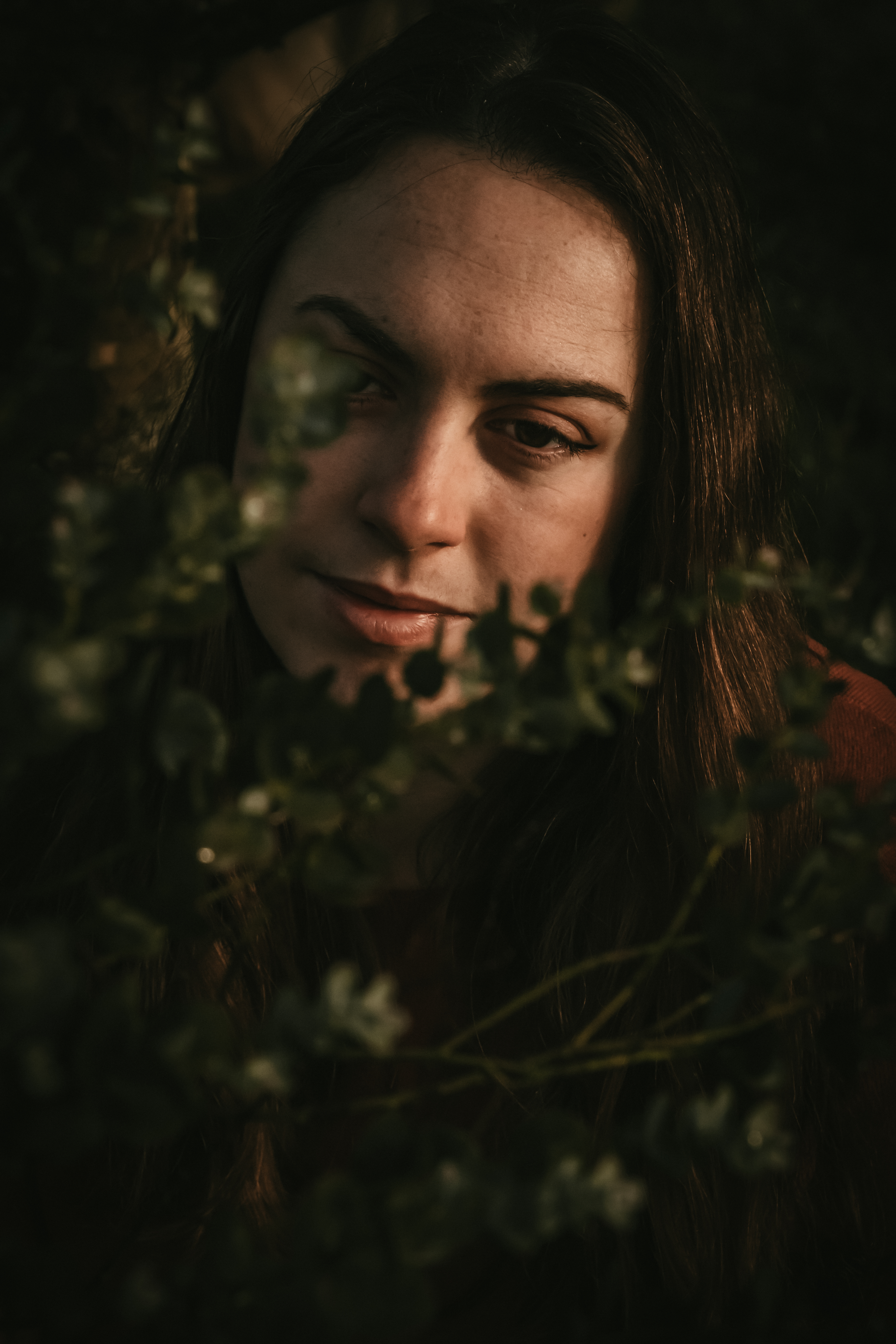 Photographe Bressuire