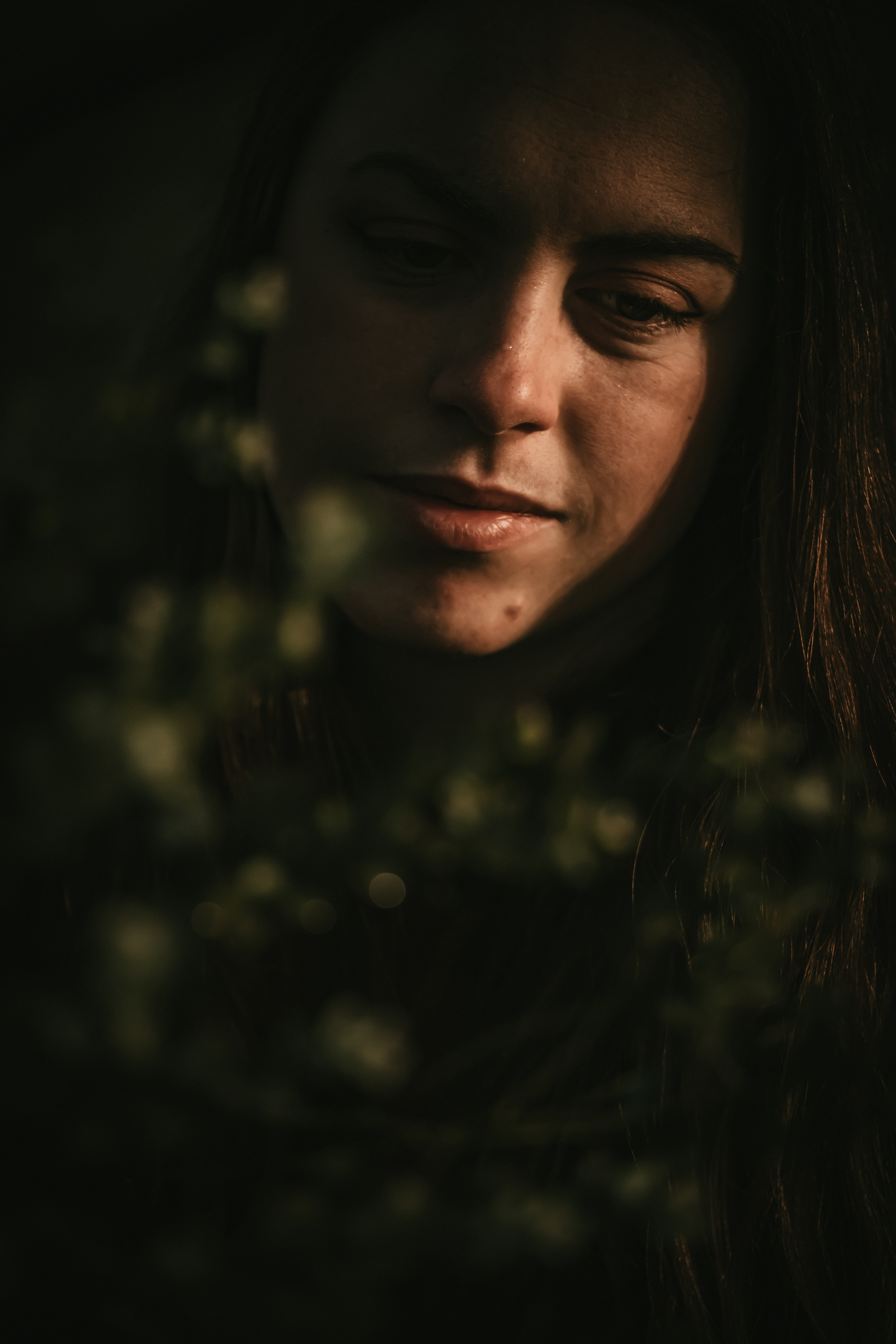 Photographe Bressuire