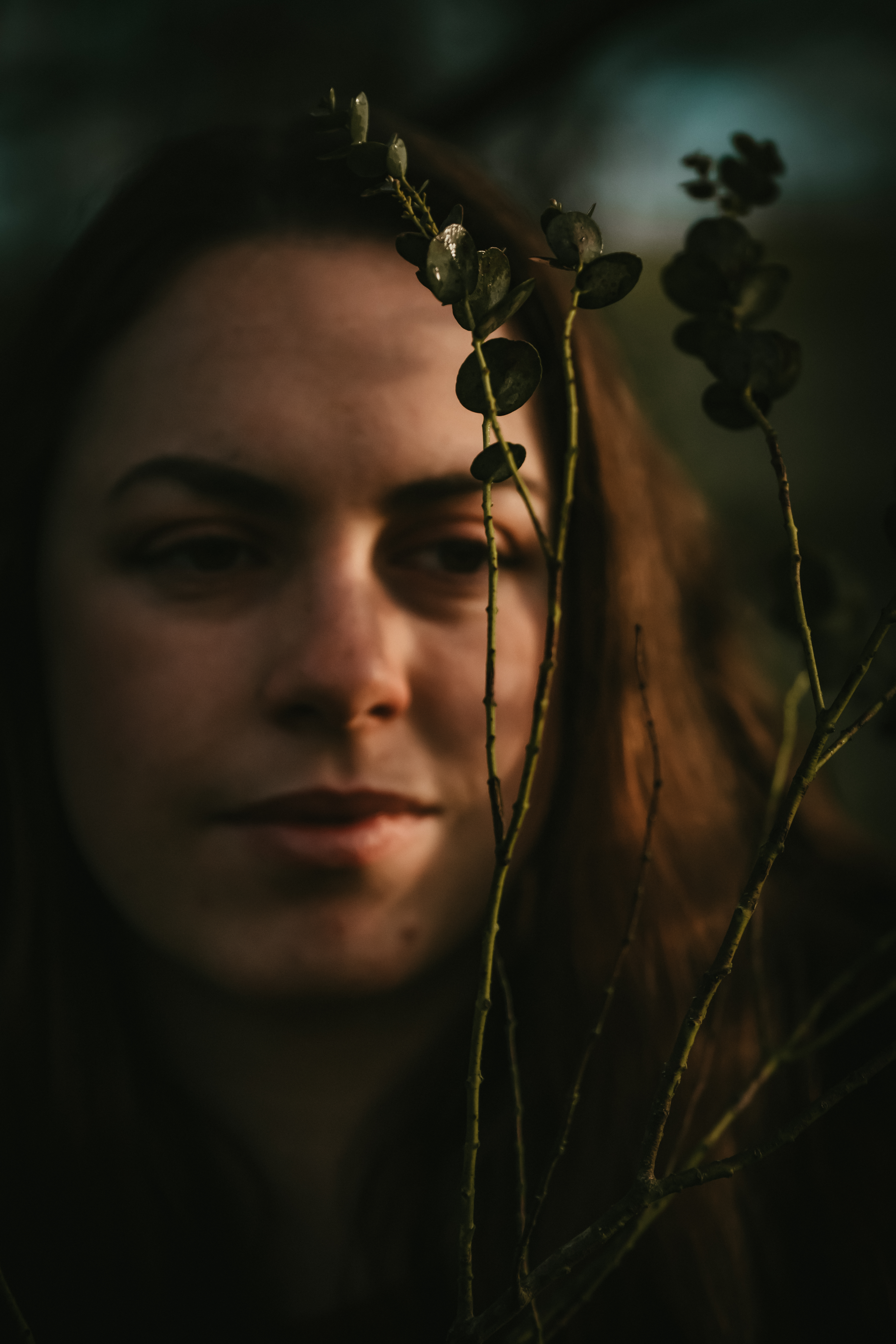 Photographe Bressuire