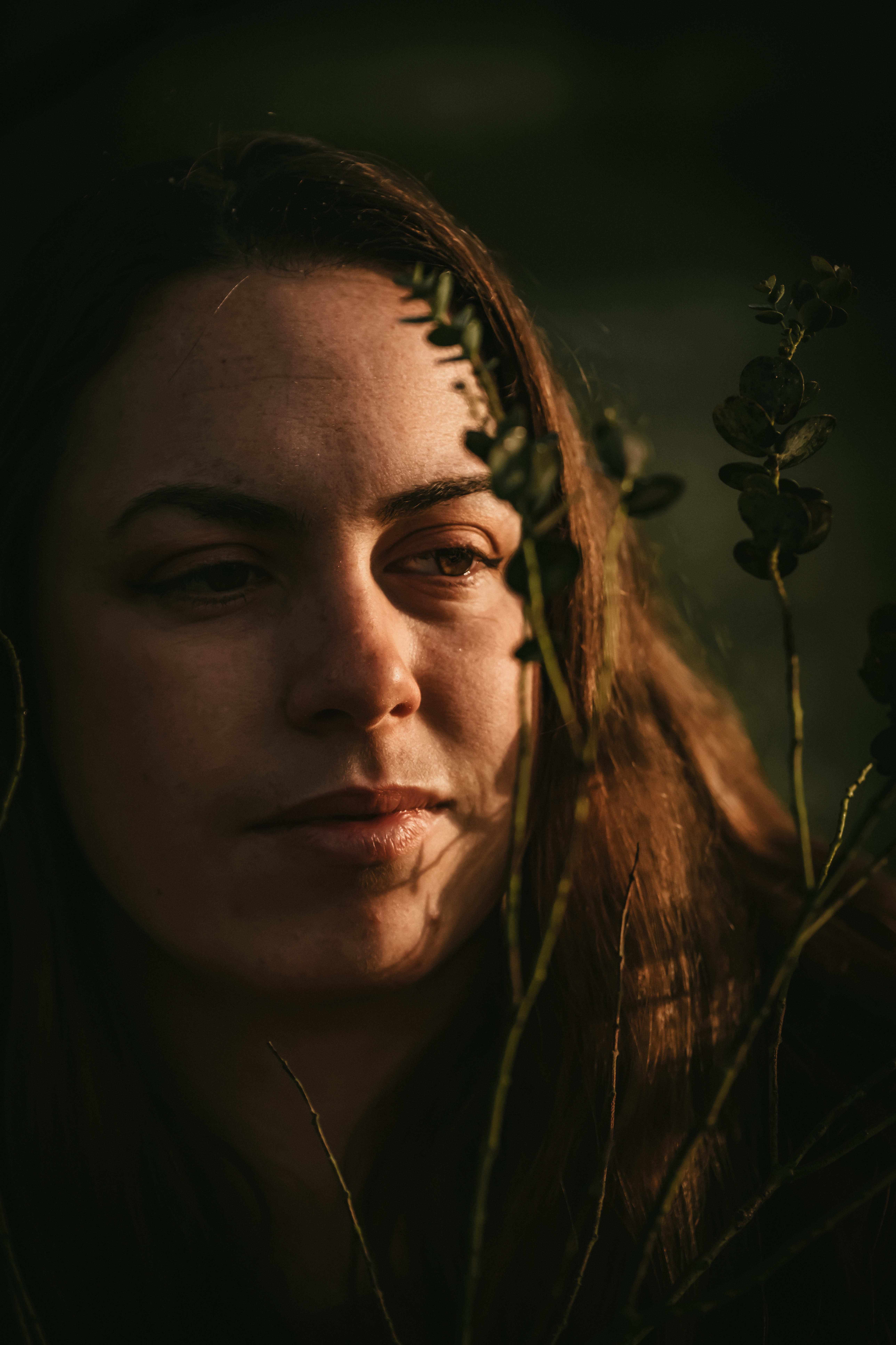 Photographe Bressuire