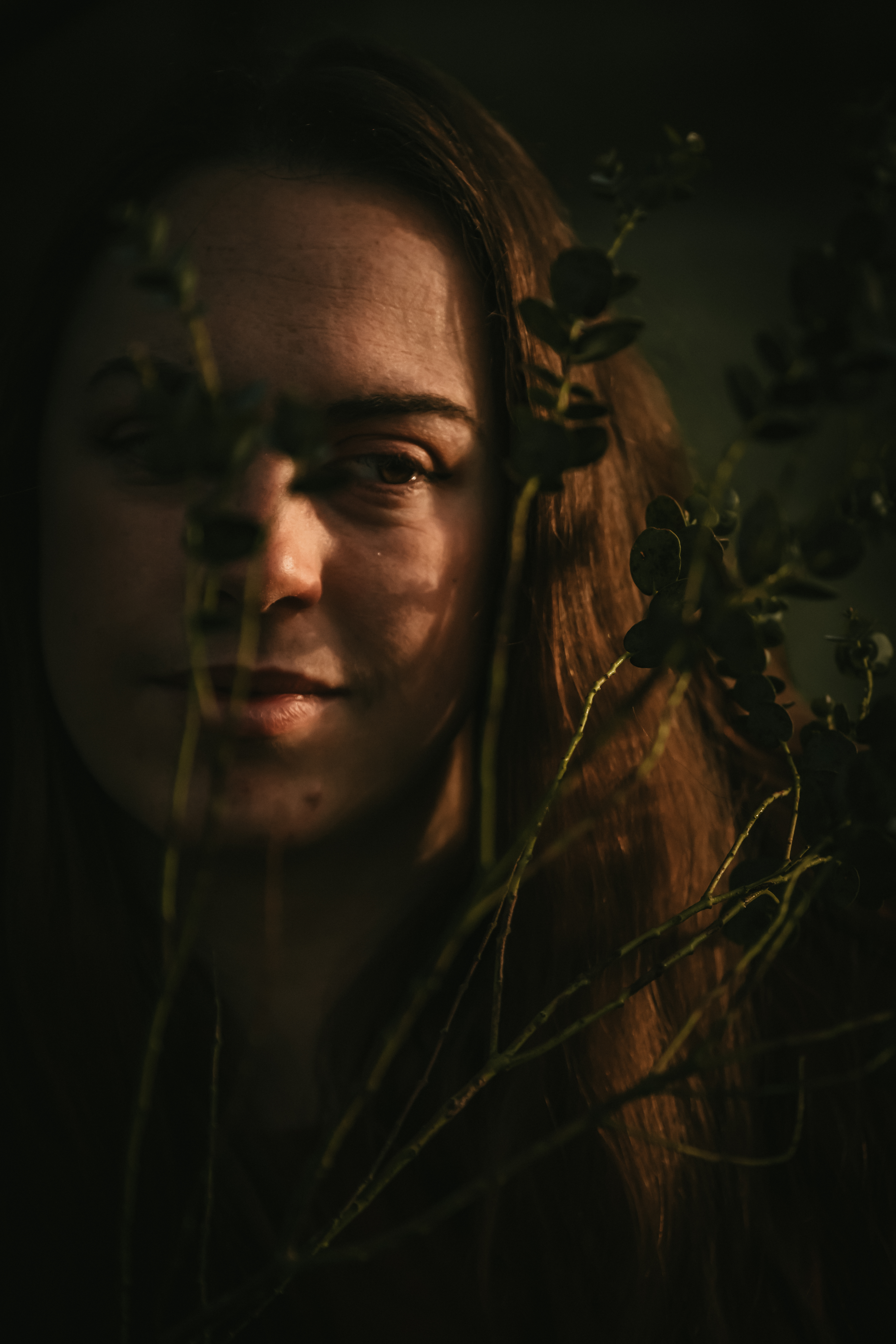 Photographe Bressuire