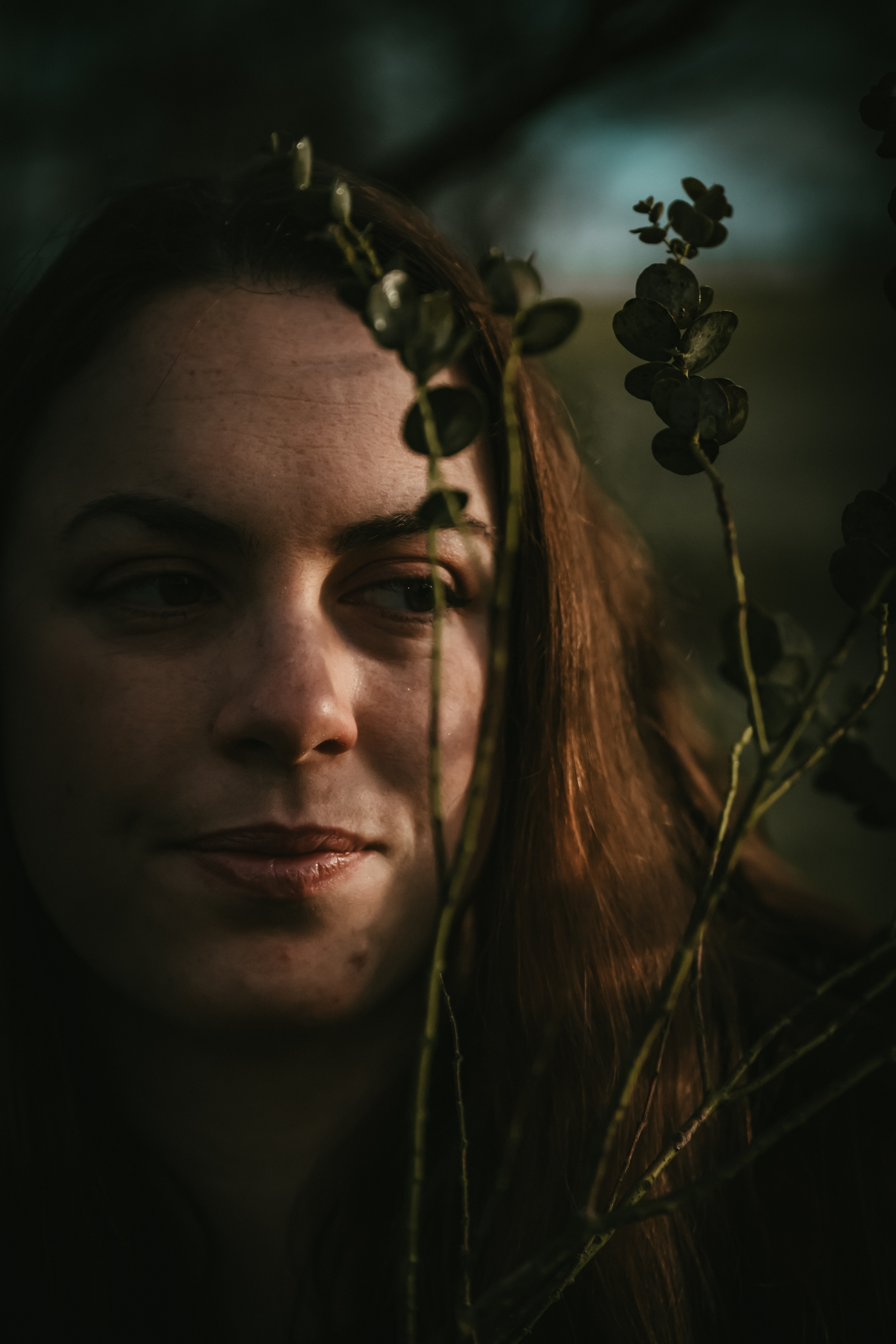 Photographe Bressuire