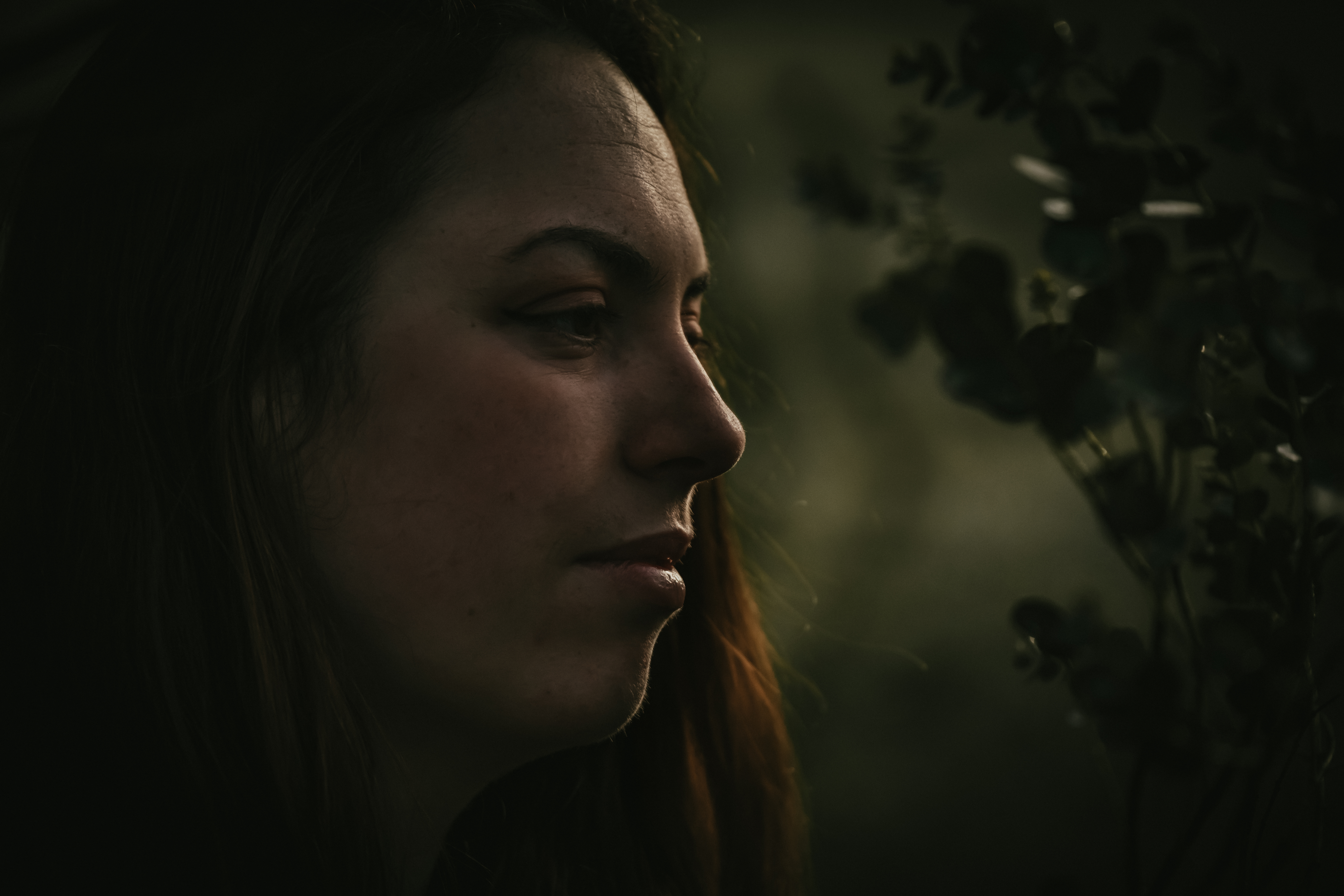 Photographe Bressuire