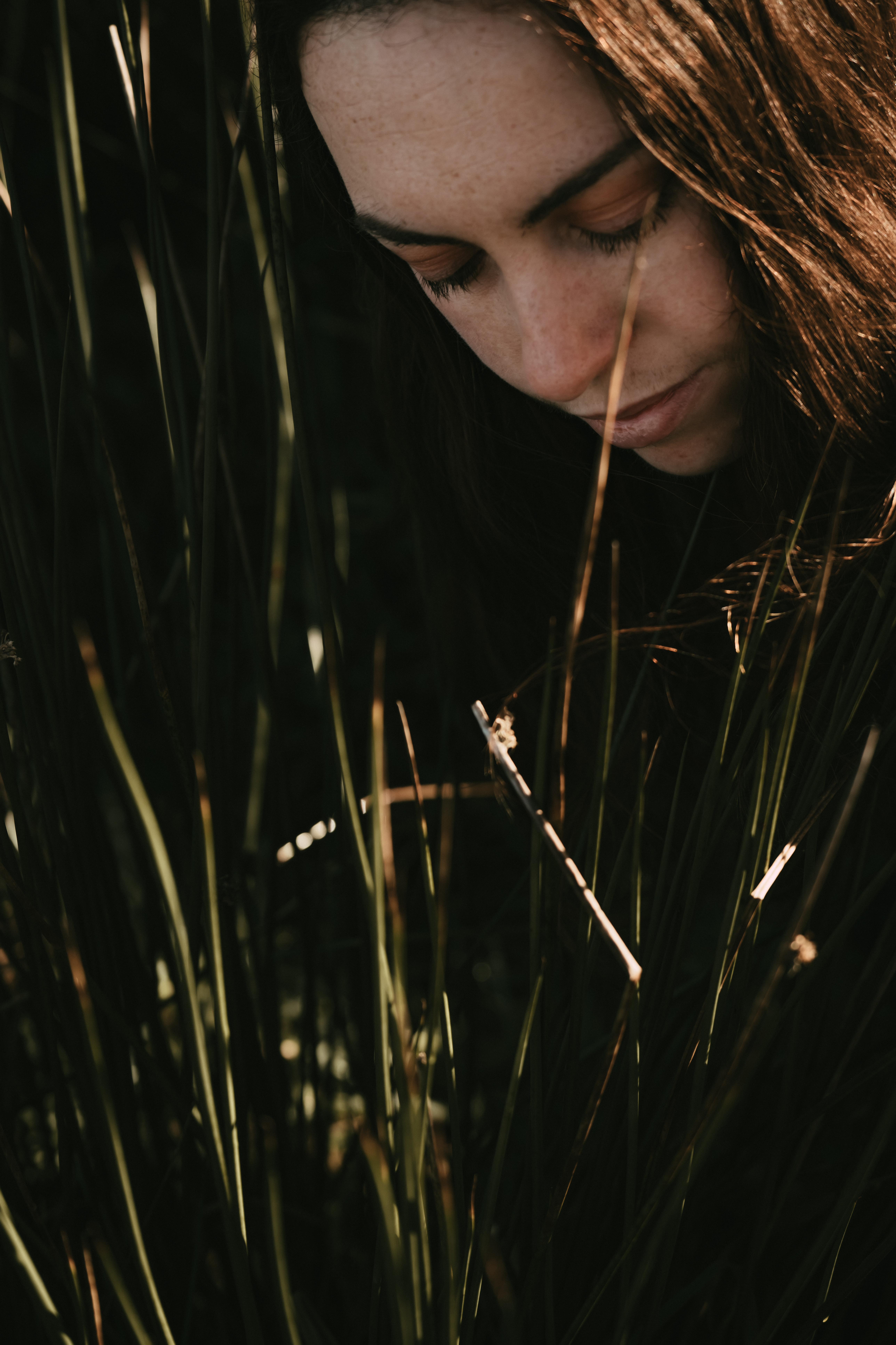 Photographe Bressuire