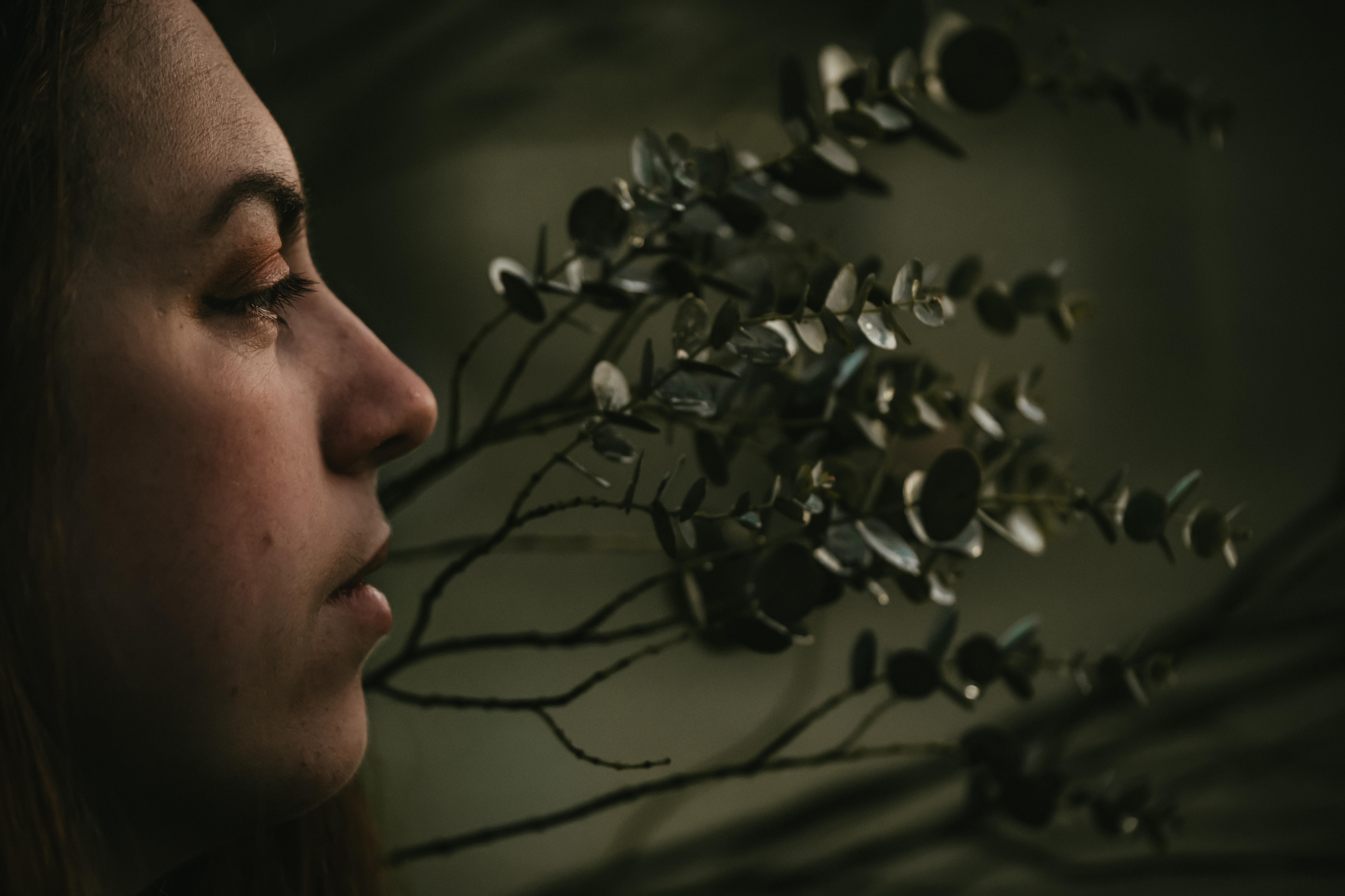 Photographe Bressuire