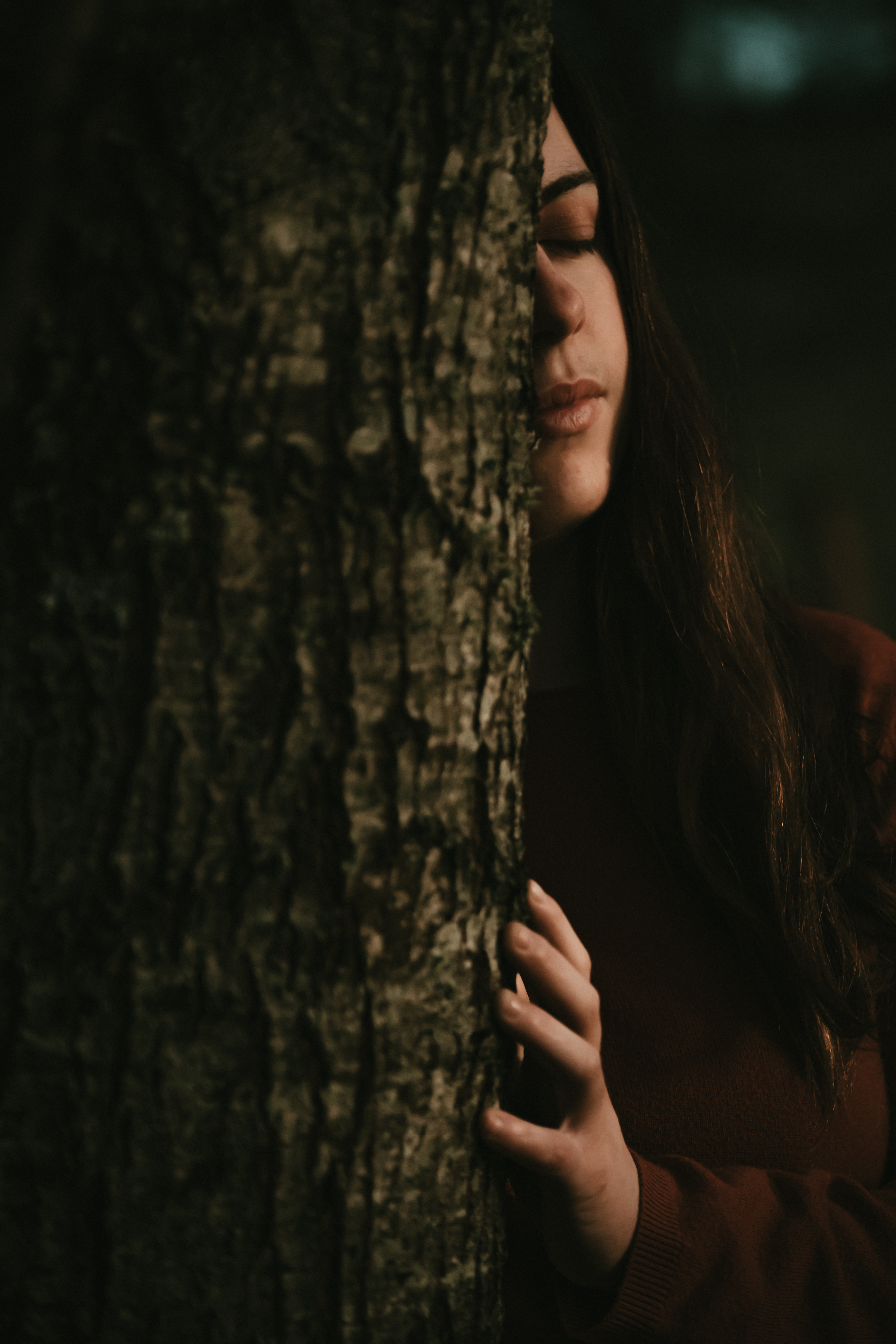 Photographe Bressuire