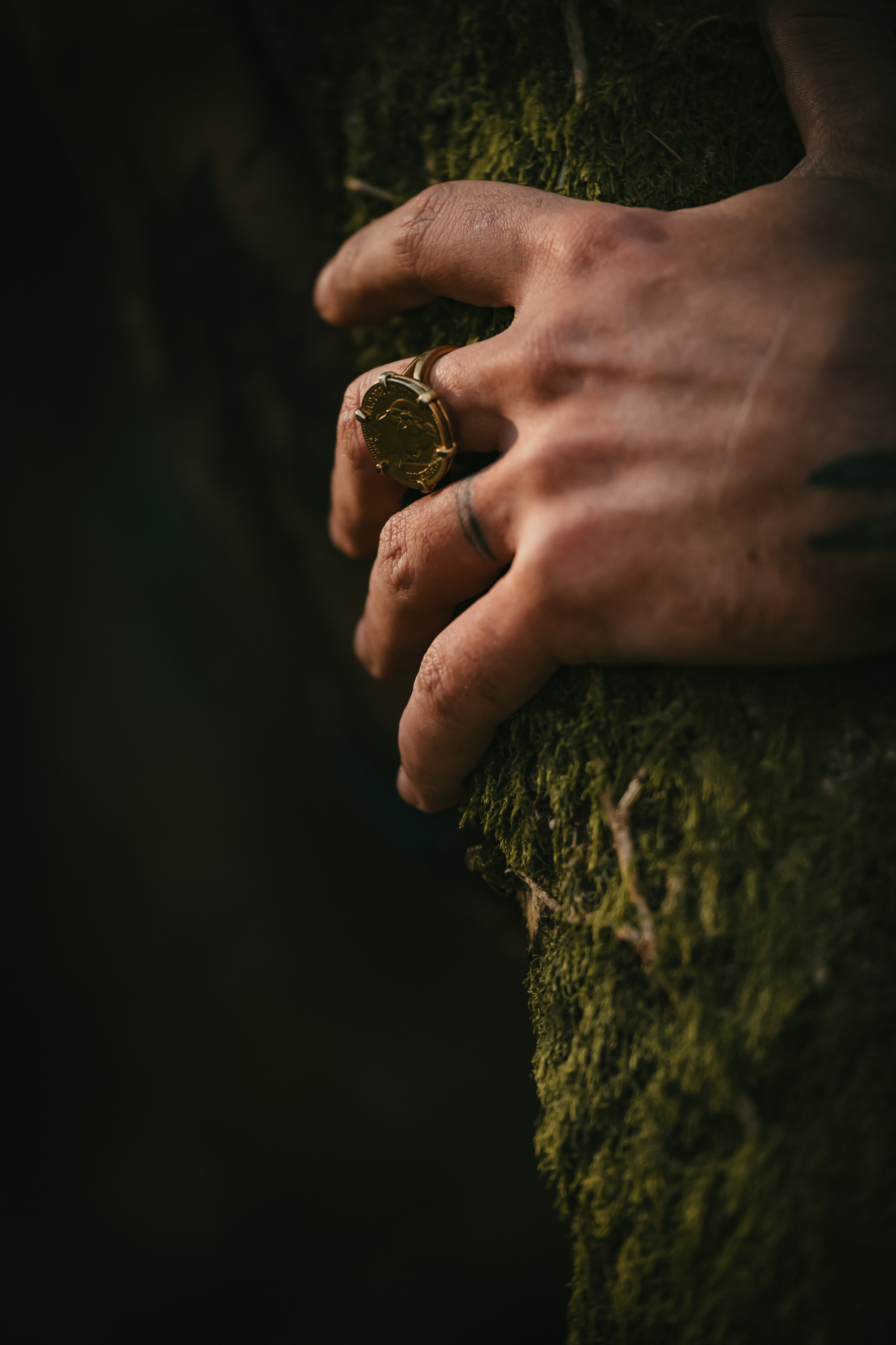 Photographe Bressuire