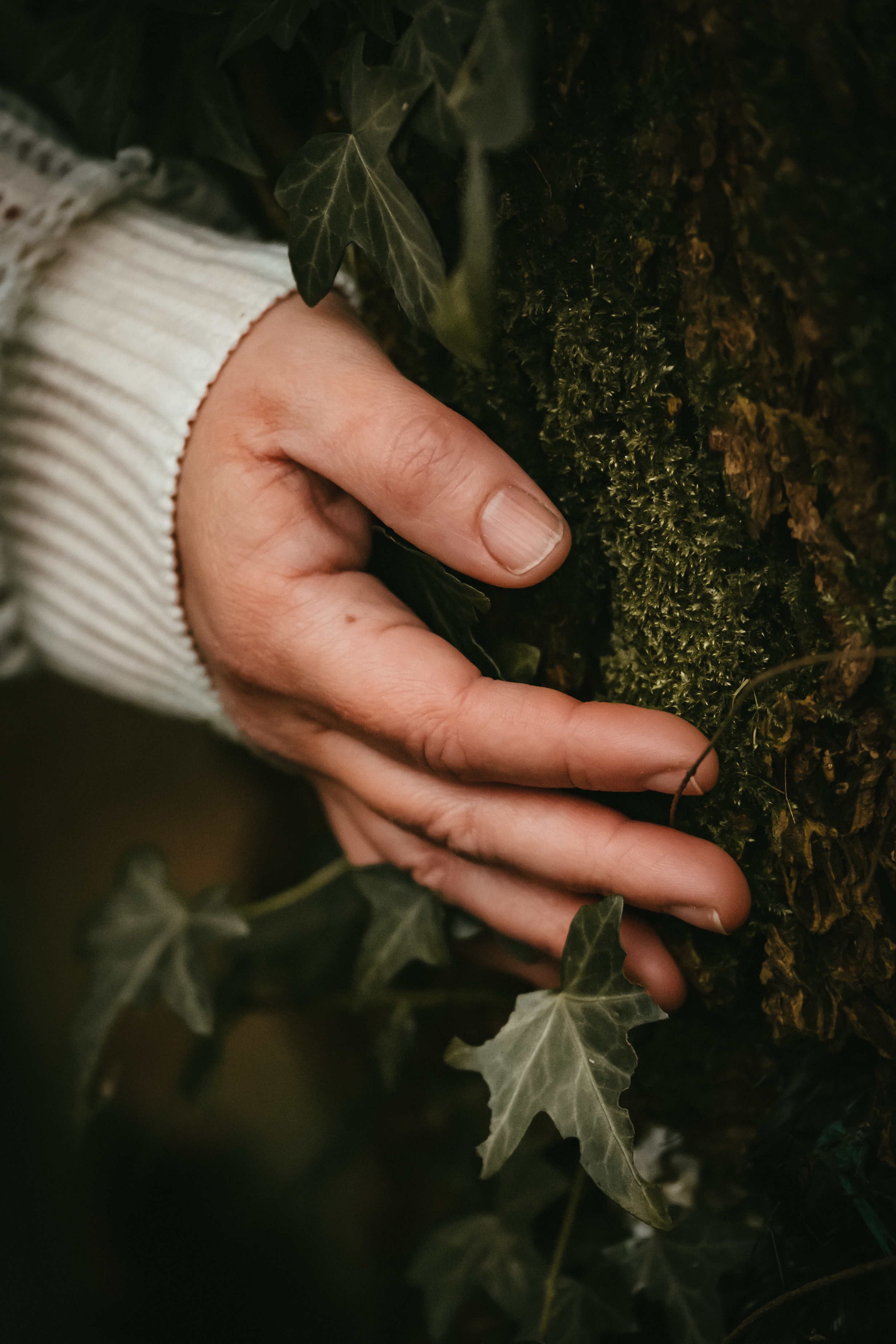 Photographe Bressuire