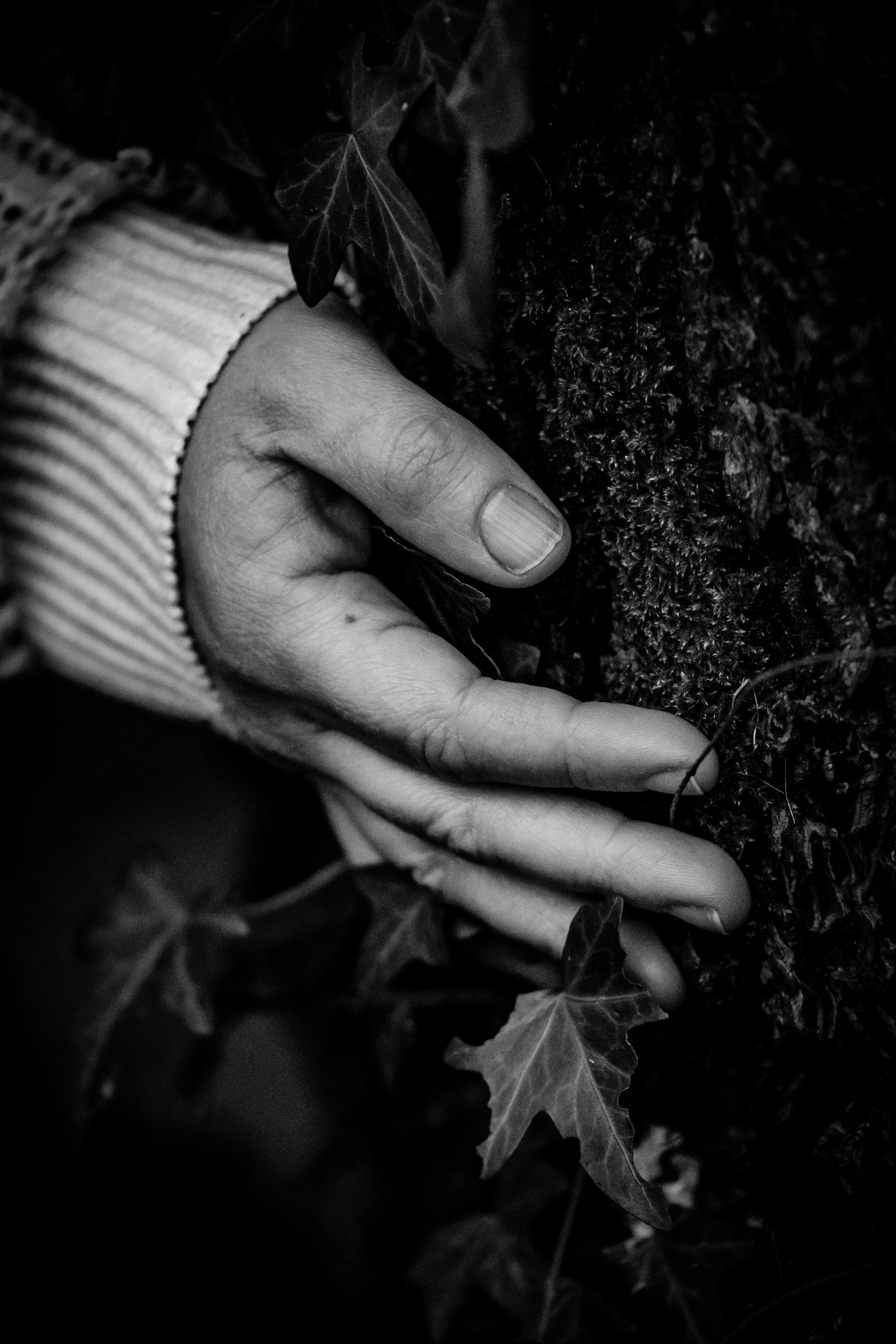 Photographe Bressuire