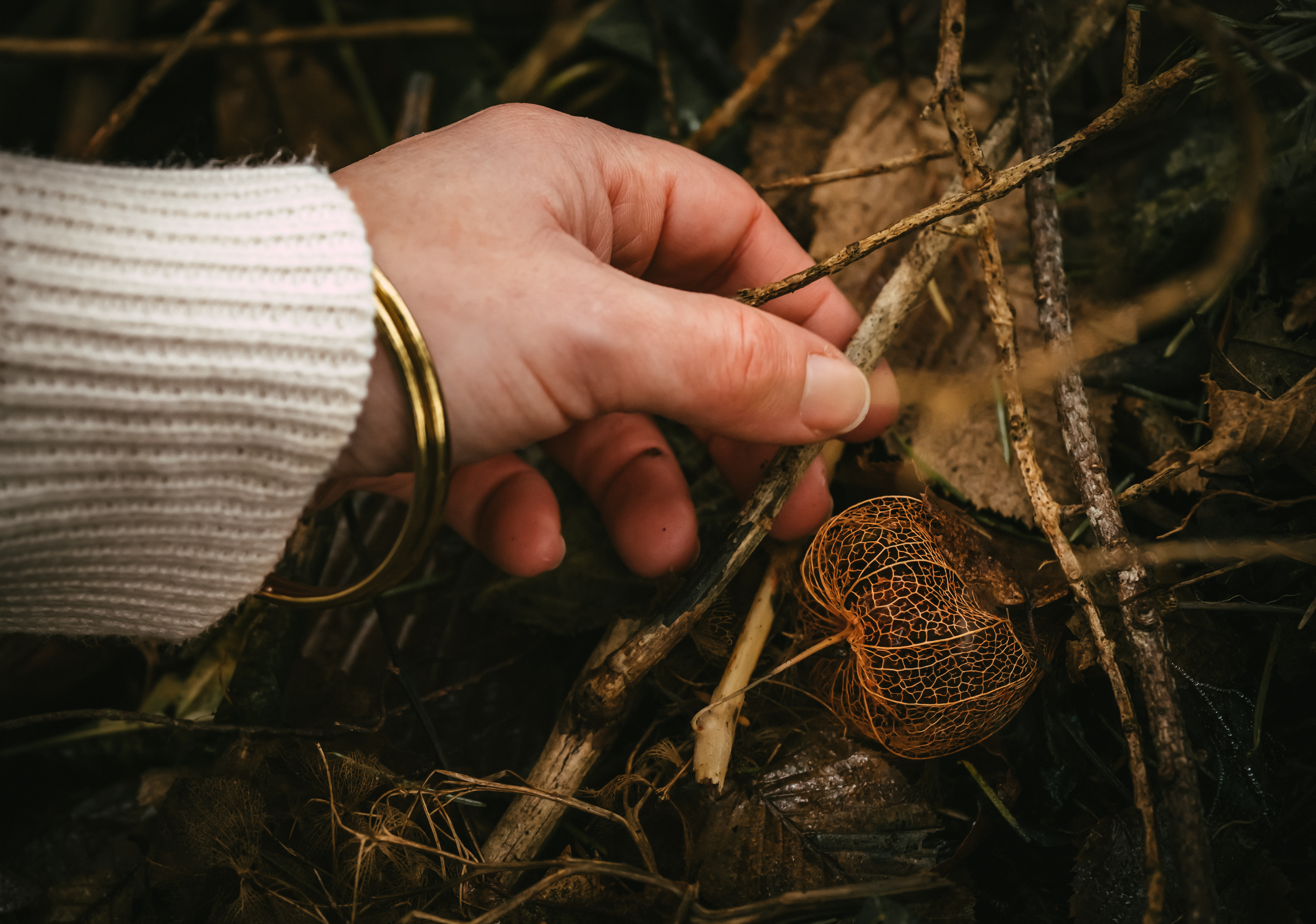 Photographe Bressuire