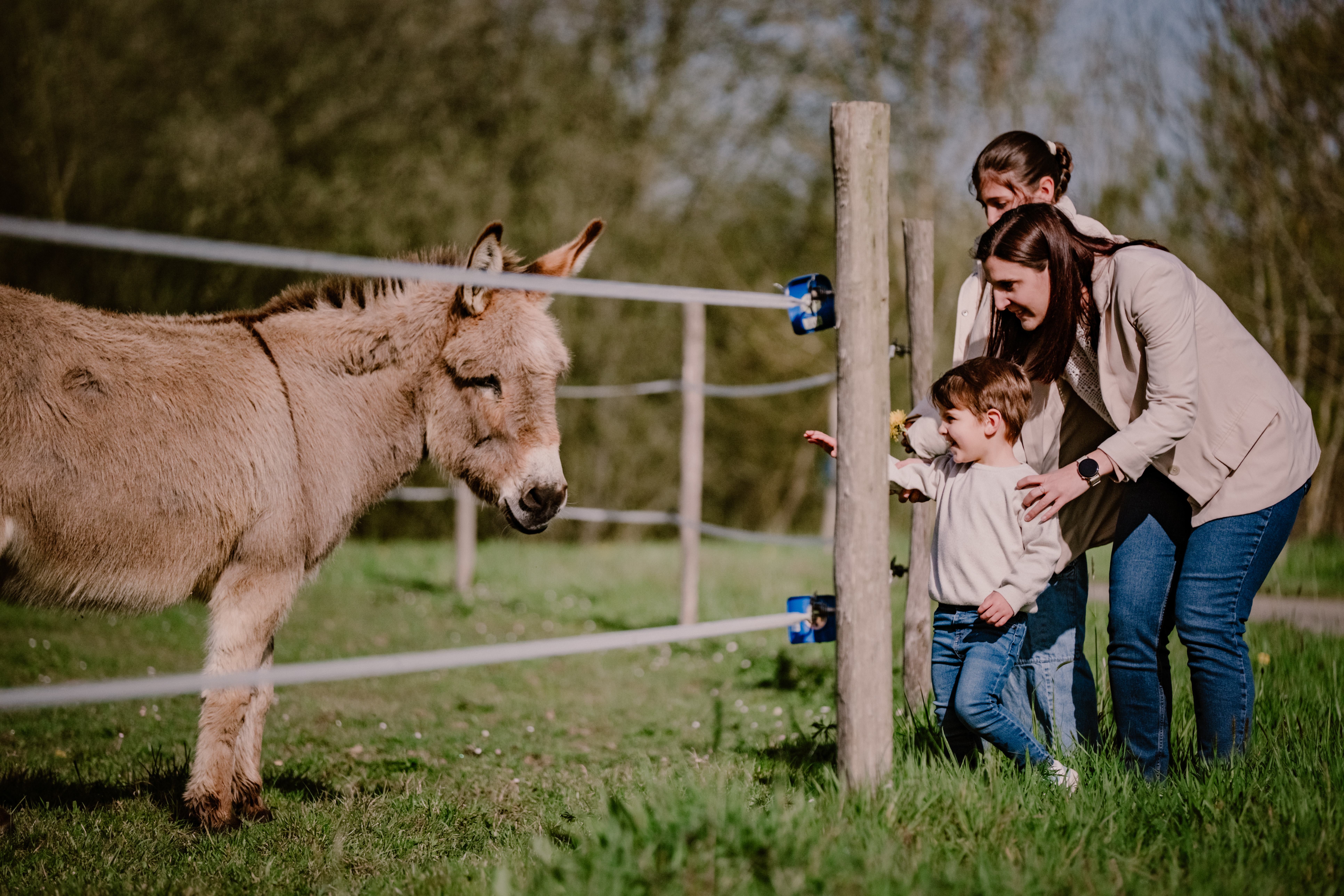 Photographe Bressuire