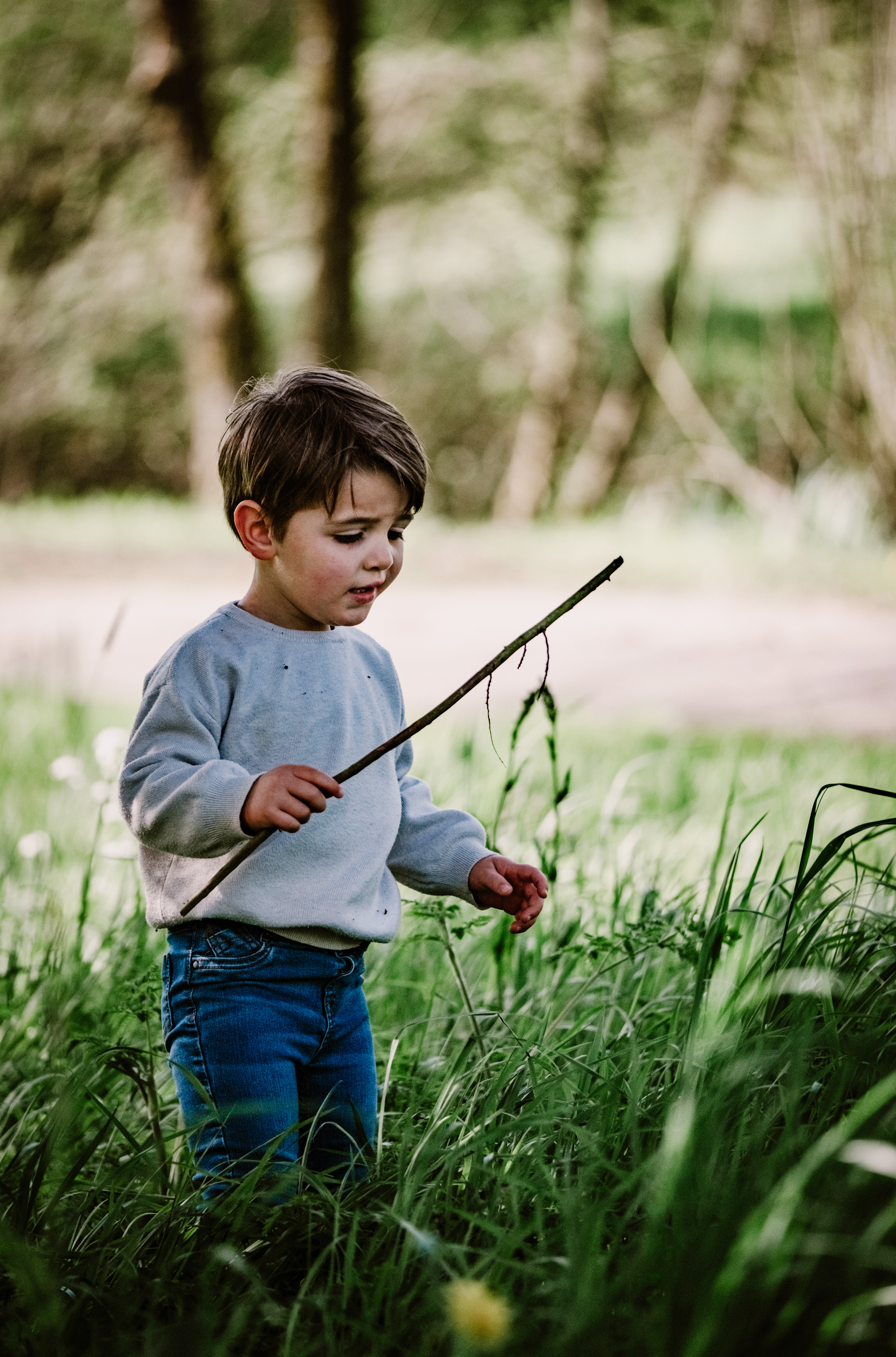 Photographe Bressuire