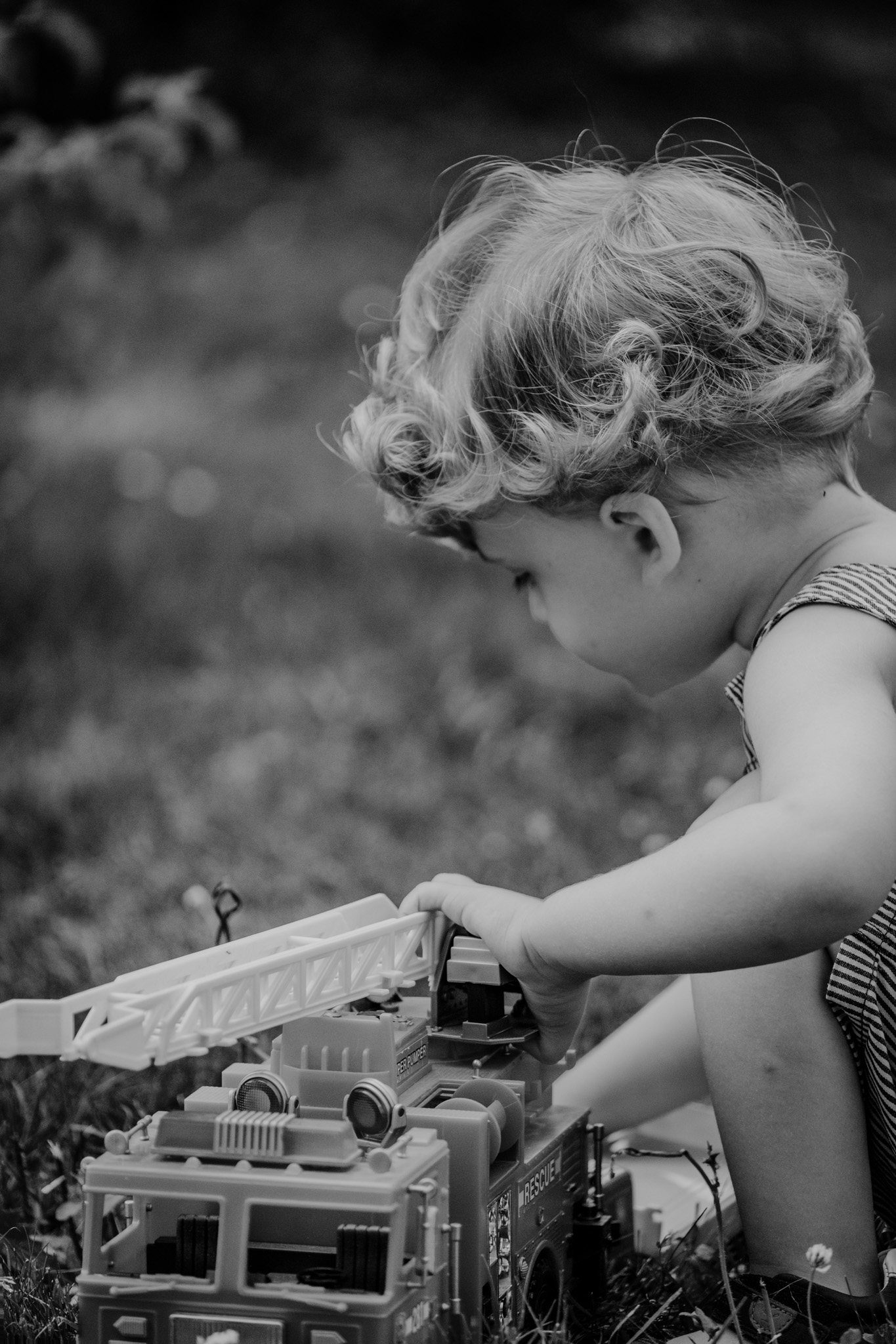 Photographe Bressuire