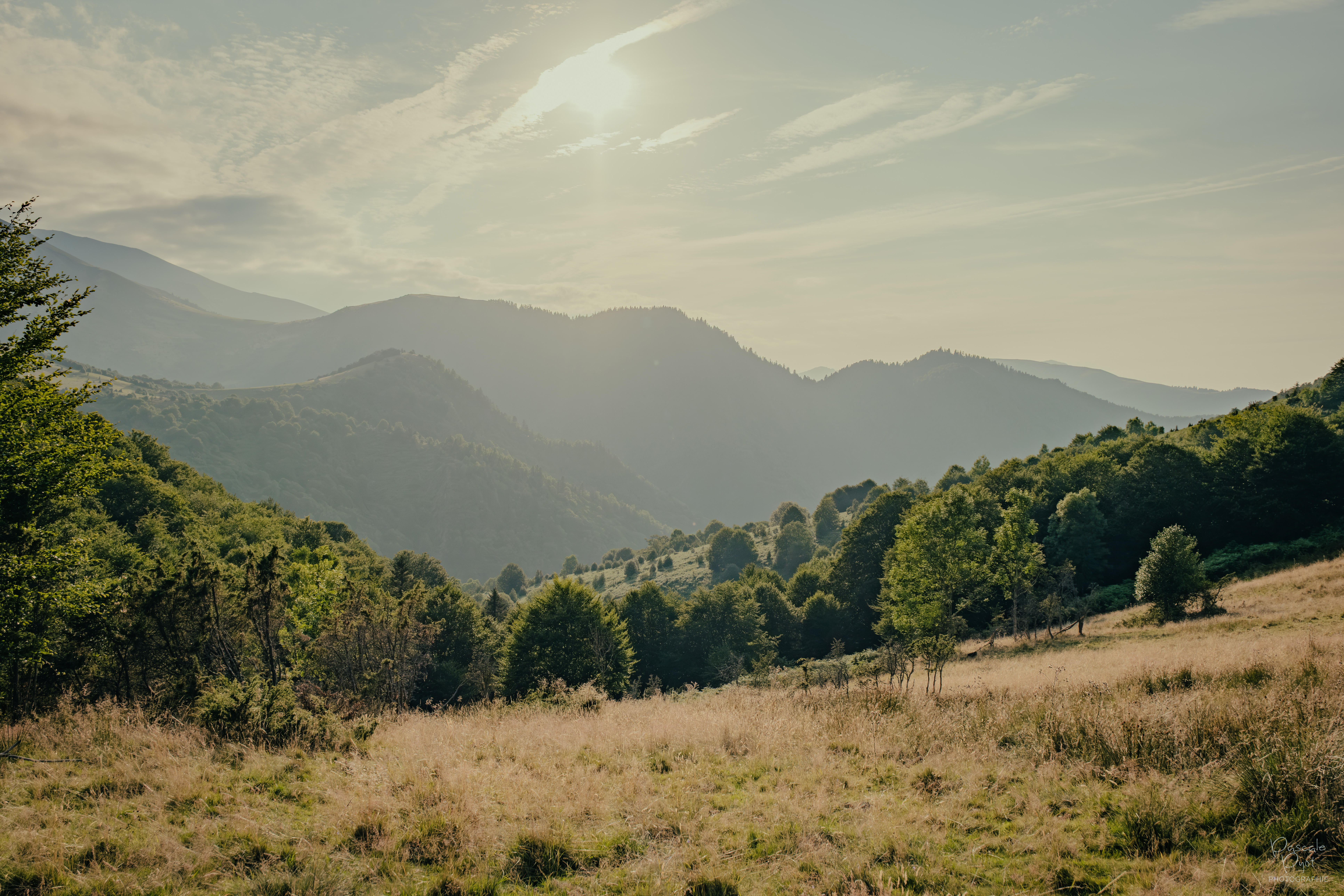 Photographe Bressuire