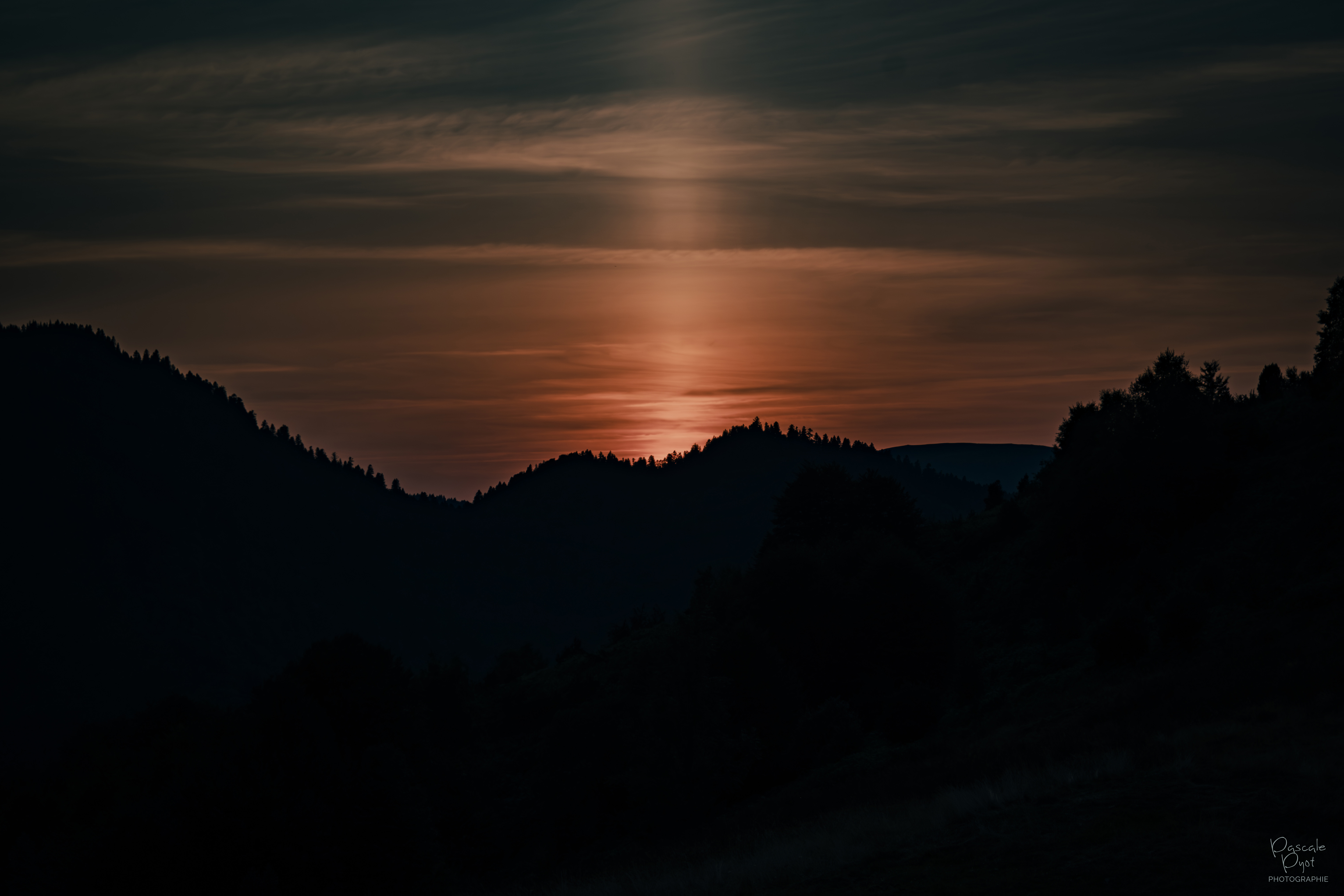 Photographe Bressuire