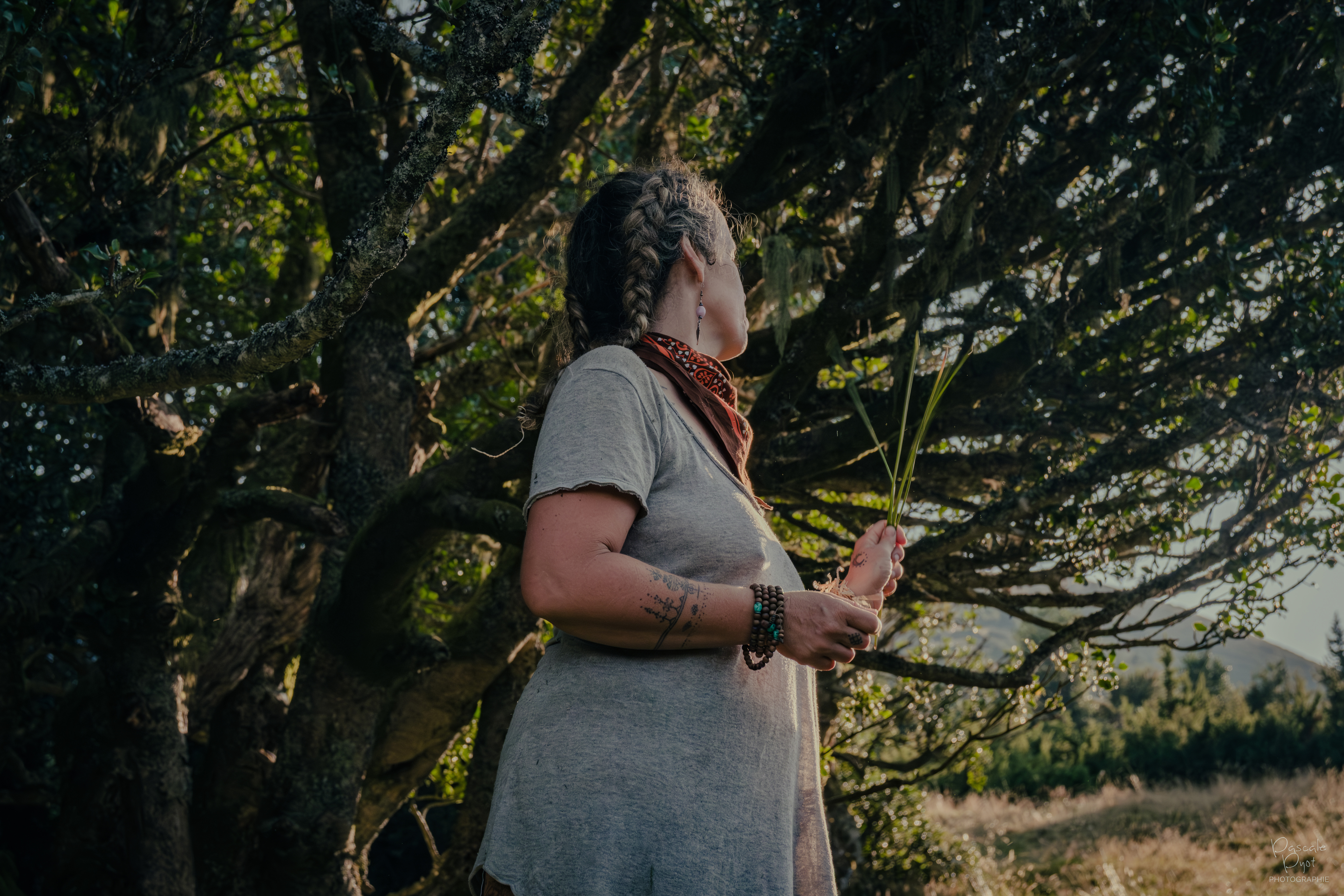 Photographe Bressuire