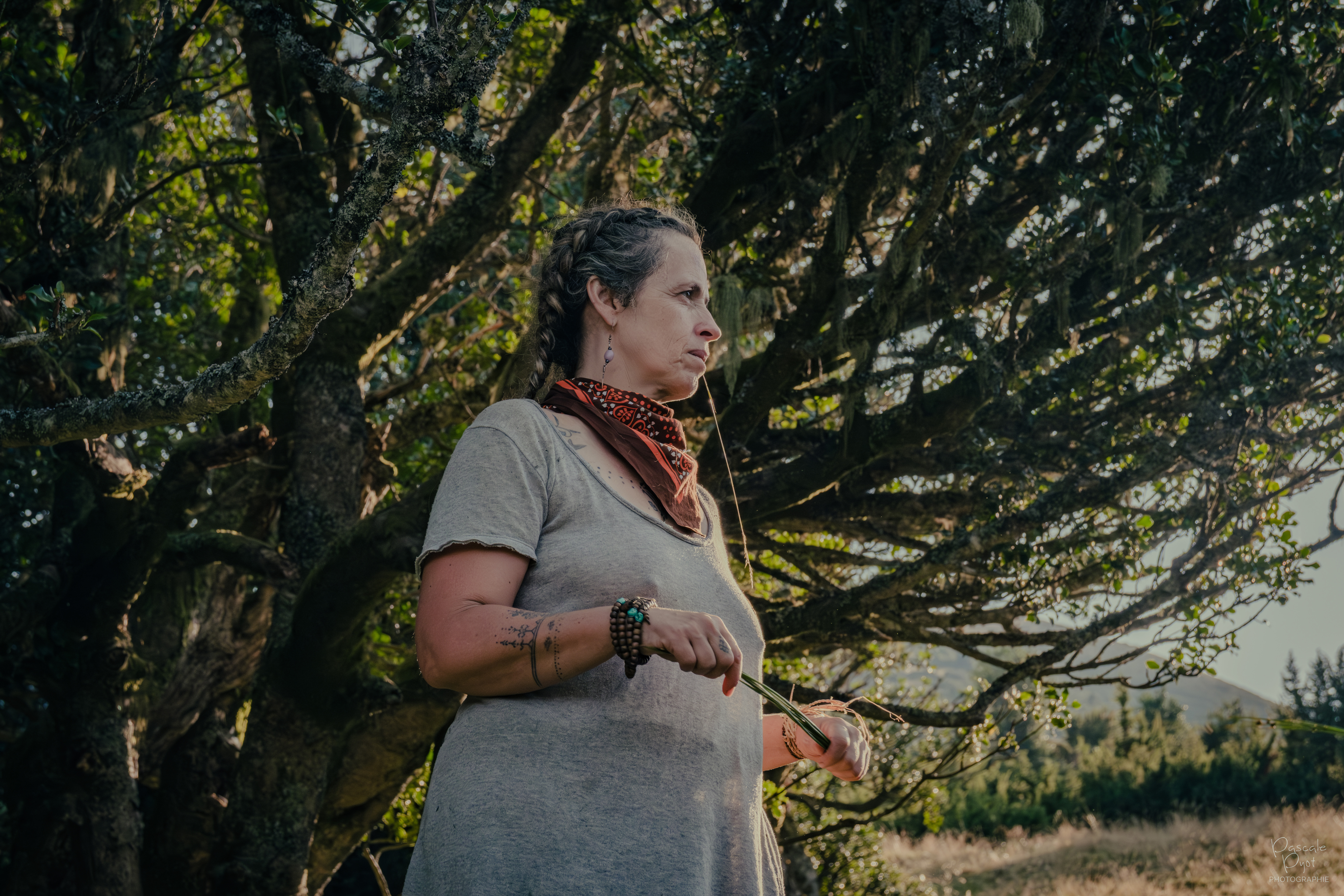 Photographe Bressuire